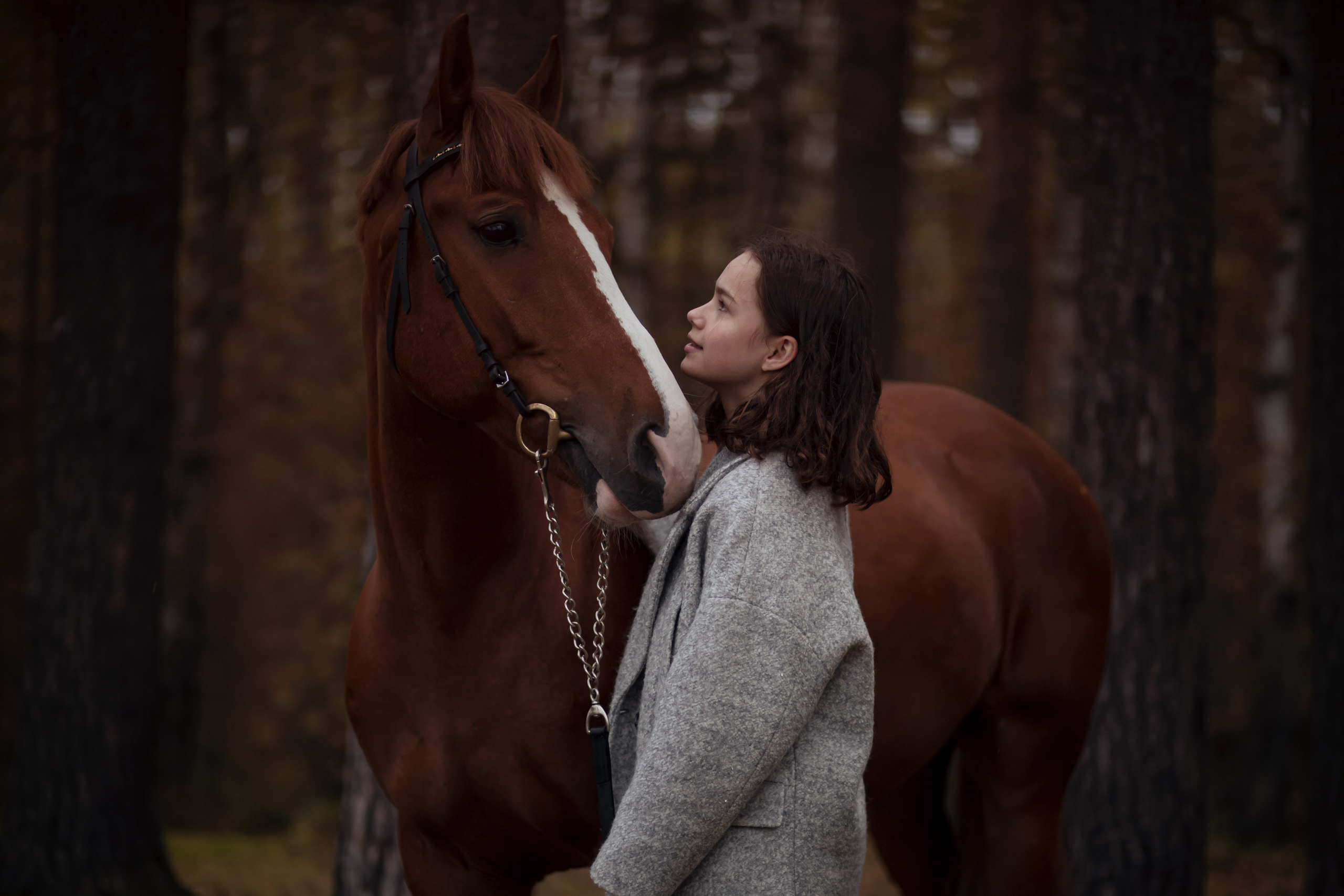 ФОТОСЕССИИ С ЖИВОТНЫМИ. Свадебный фотограф Санкт-Петербург Катерина Ширяева