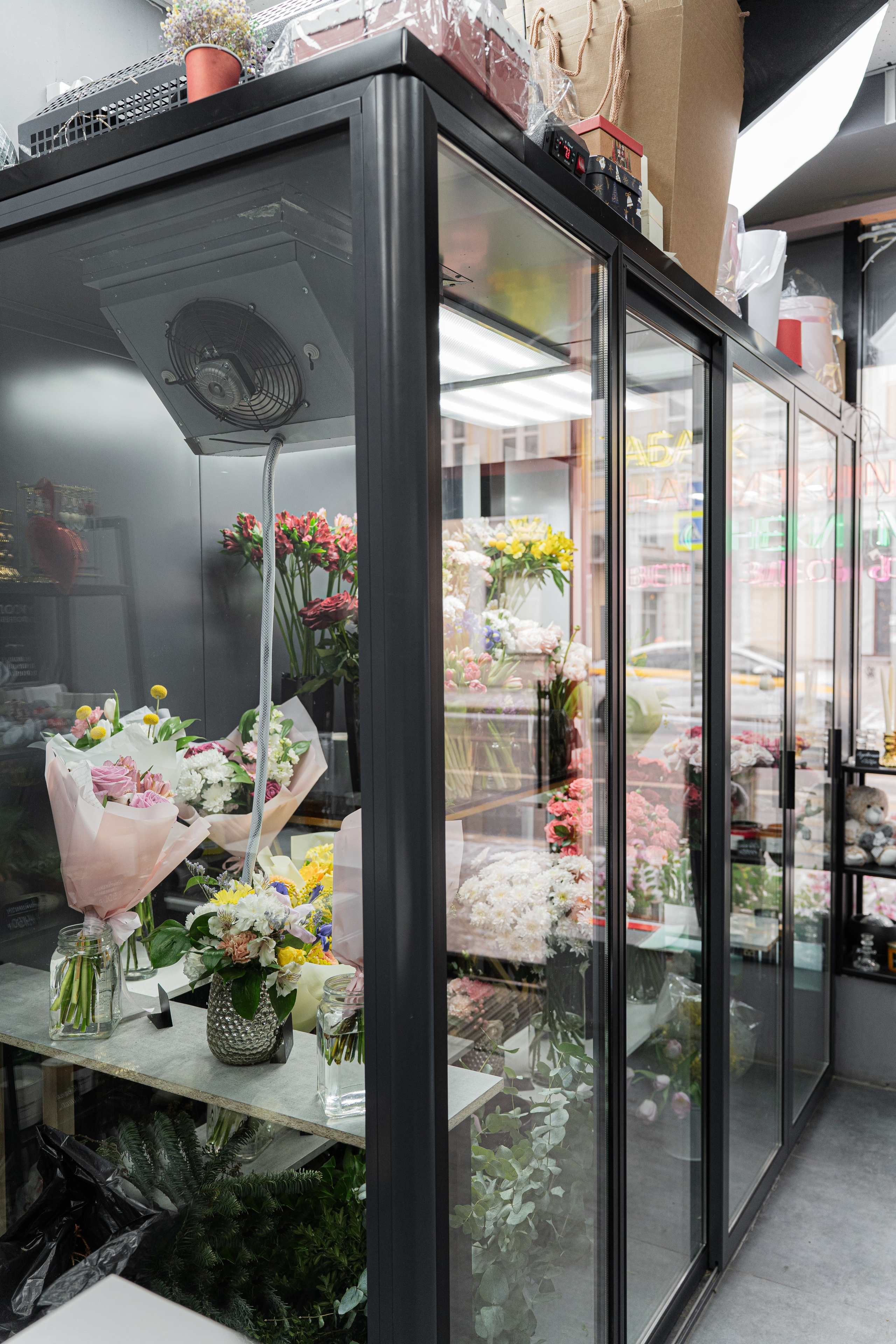 Регион холод. Елена Пашкевич, фотограф, Москва