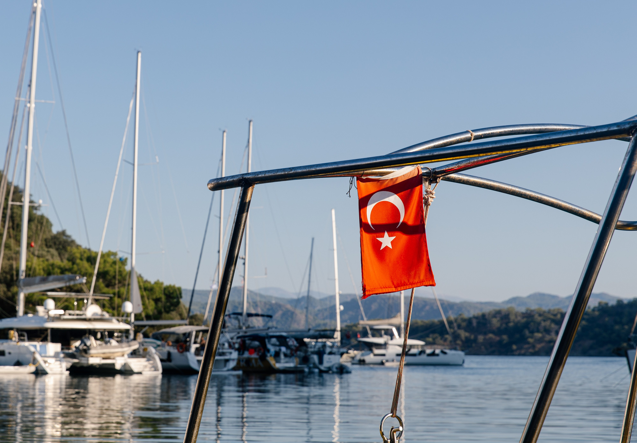 Фармрегата. Свадебный фотограф Москва Анна Шилова