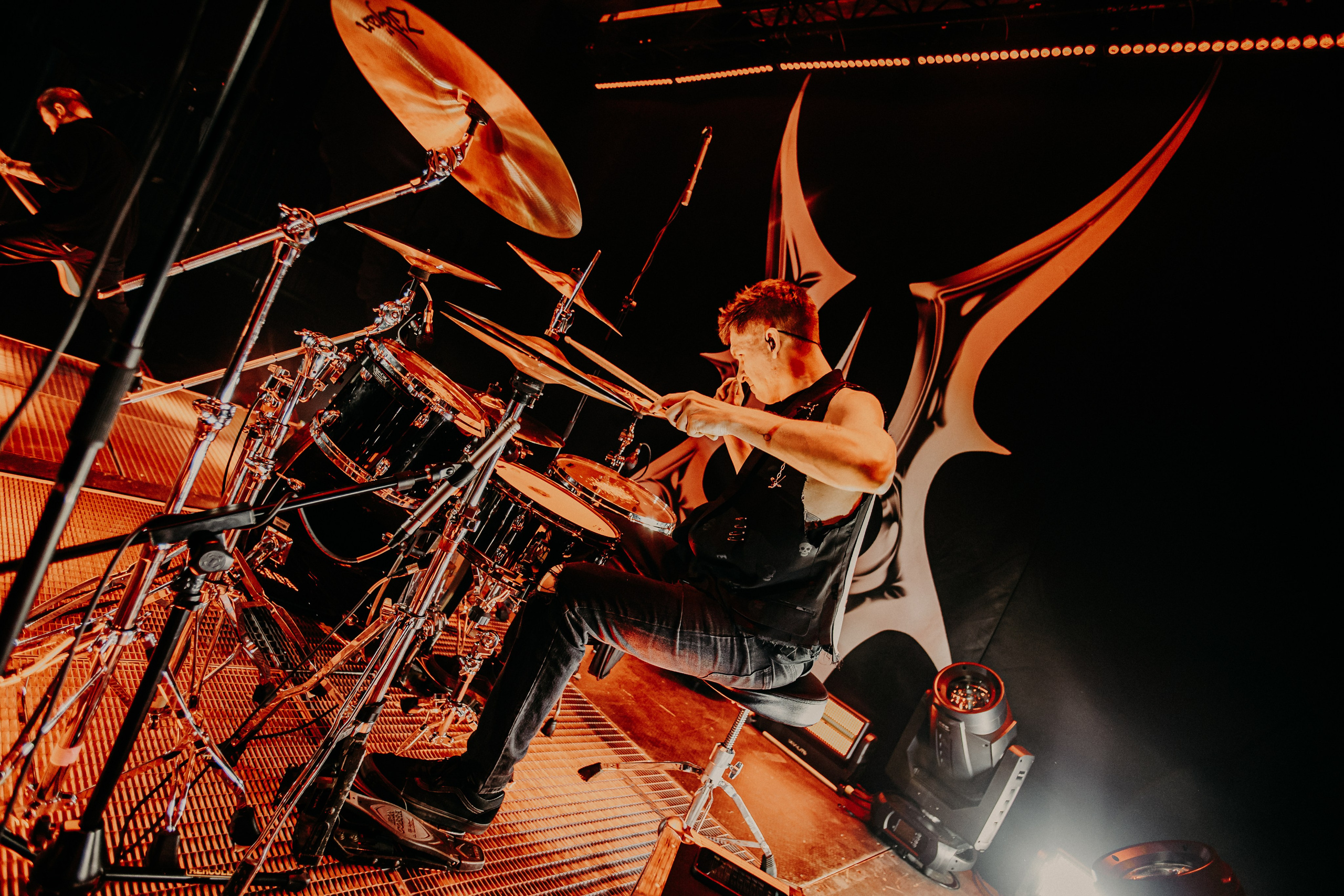 Wildways | 16.11.24 | Sound