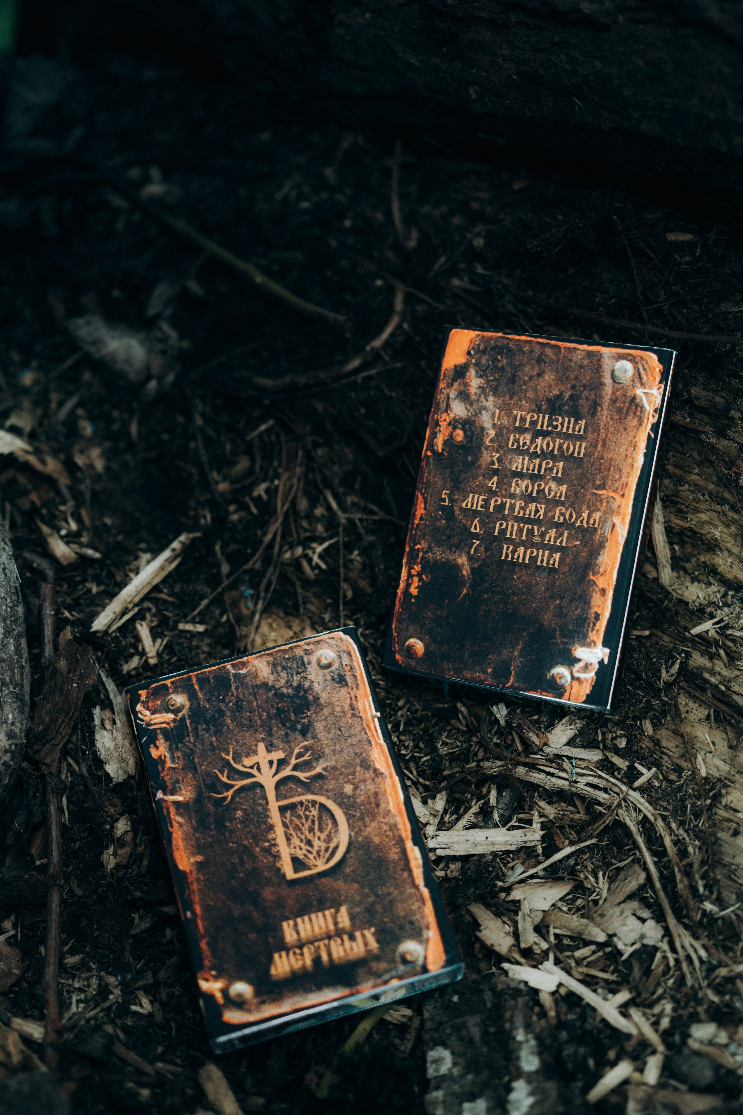 Мерч для The Denied