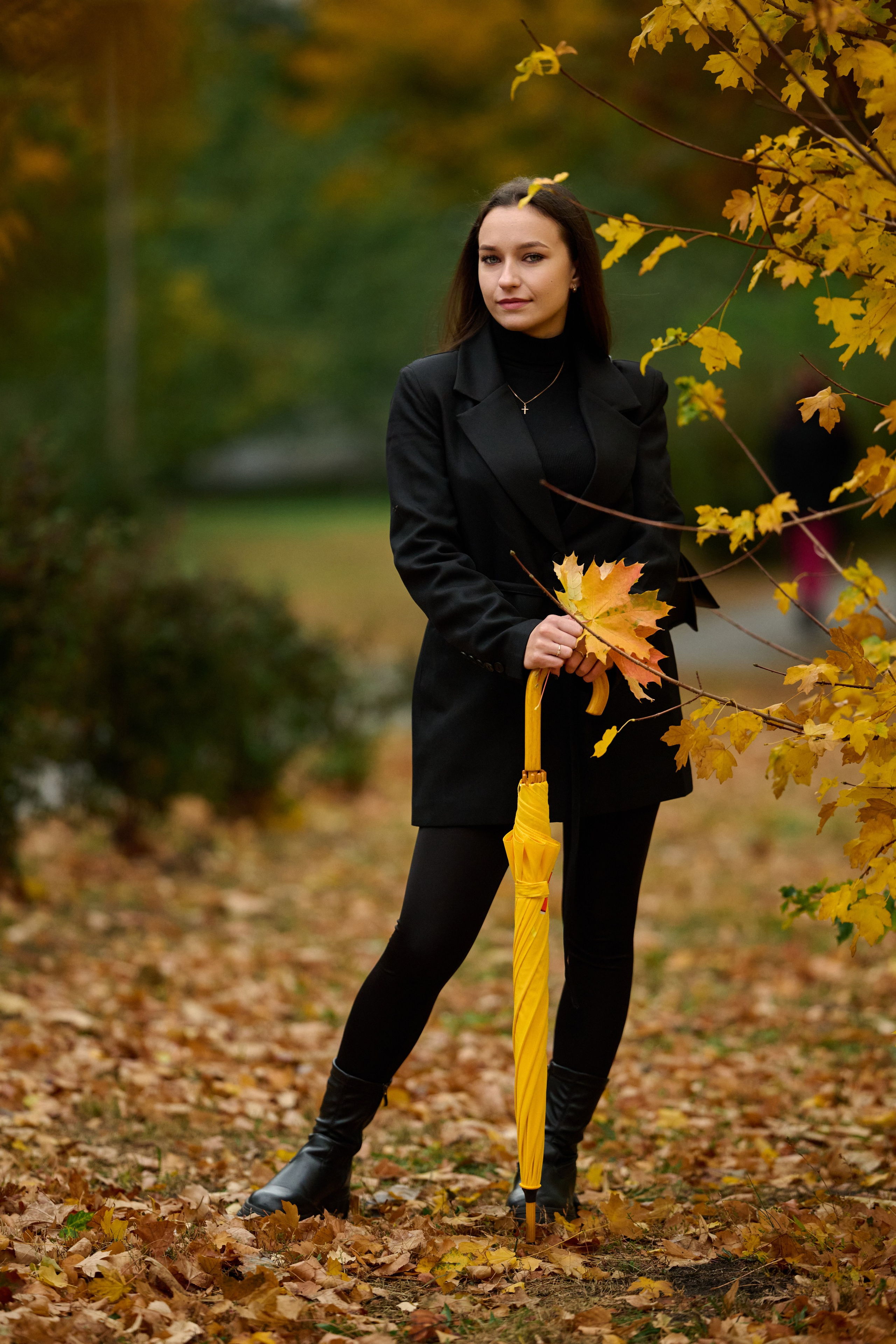 Золотая осень в Старом Осколе