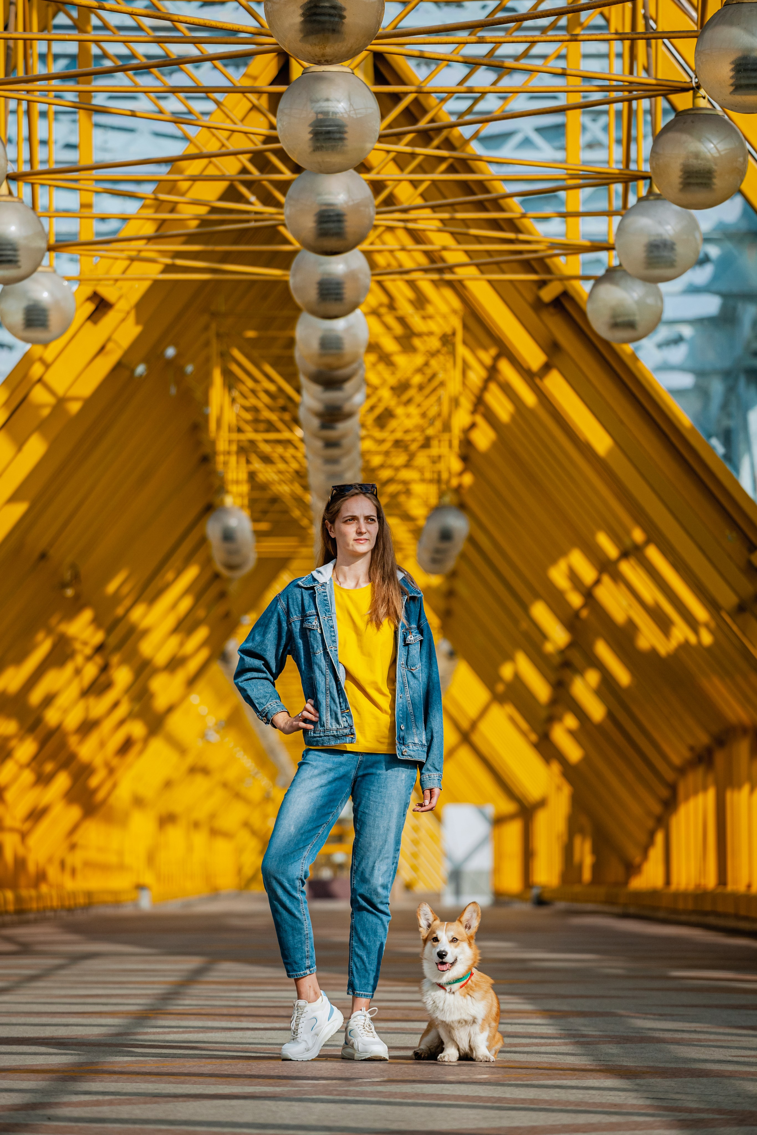 Андреевский мост. Фотограф-анималист Татьяна Степанова