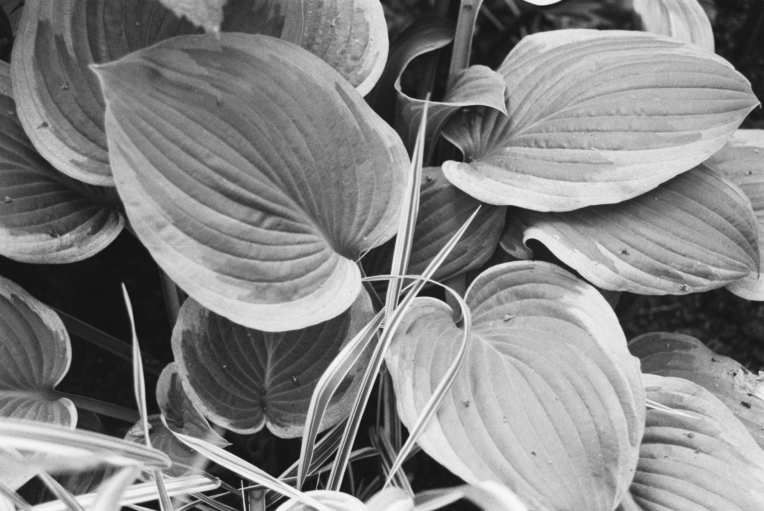 Путешествия. Anastasiia Kron