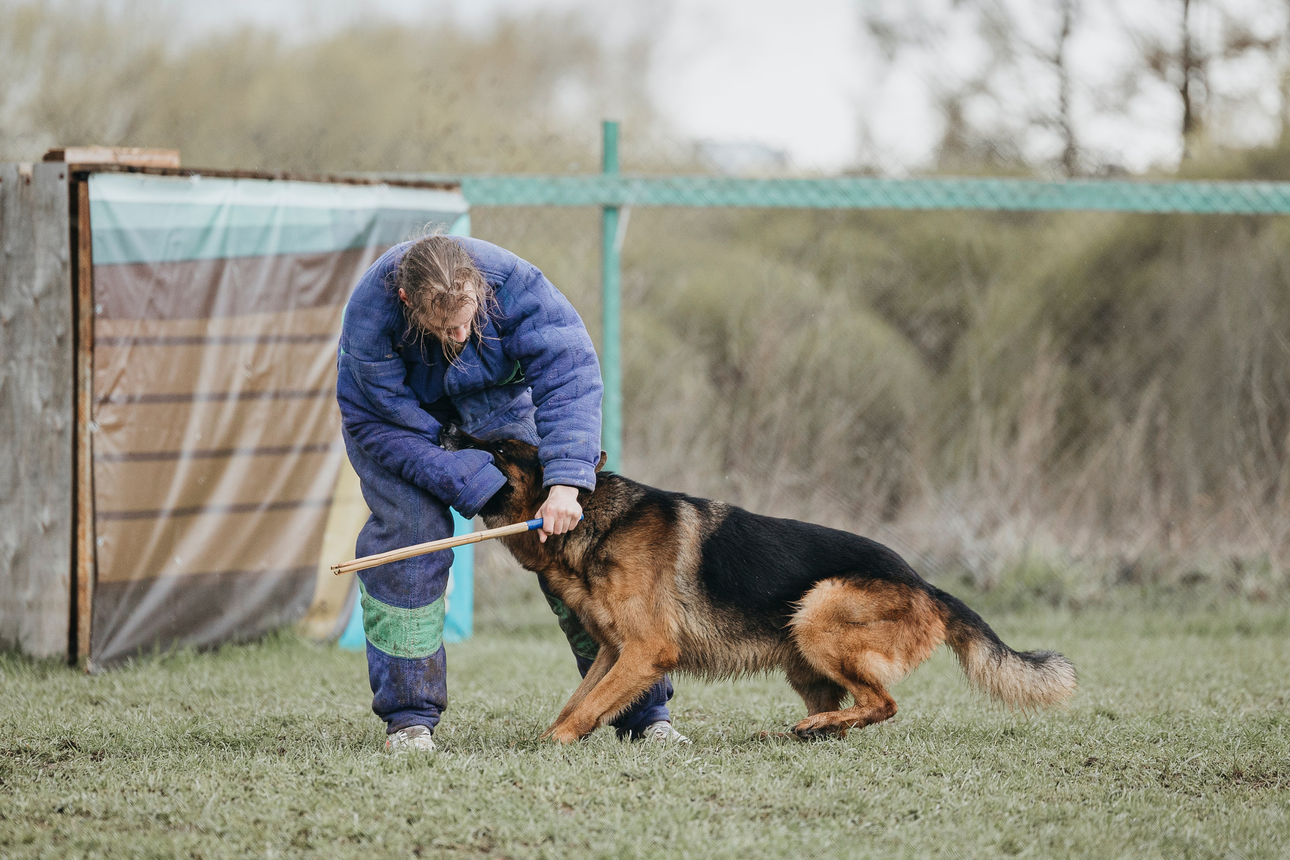 09.05.25 Вологда соревнования. Фотограф-анималист Анна Маринич