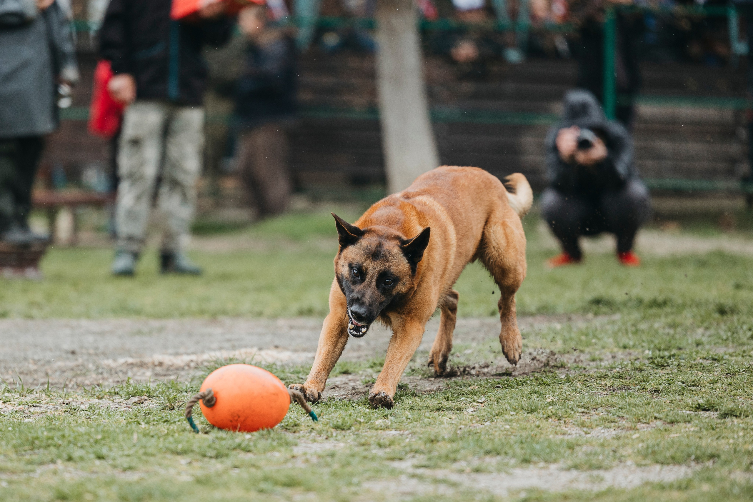 Геленджик Мондьоринг. Фотограф-анималист Анна Маринич