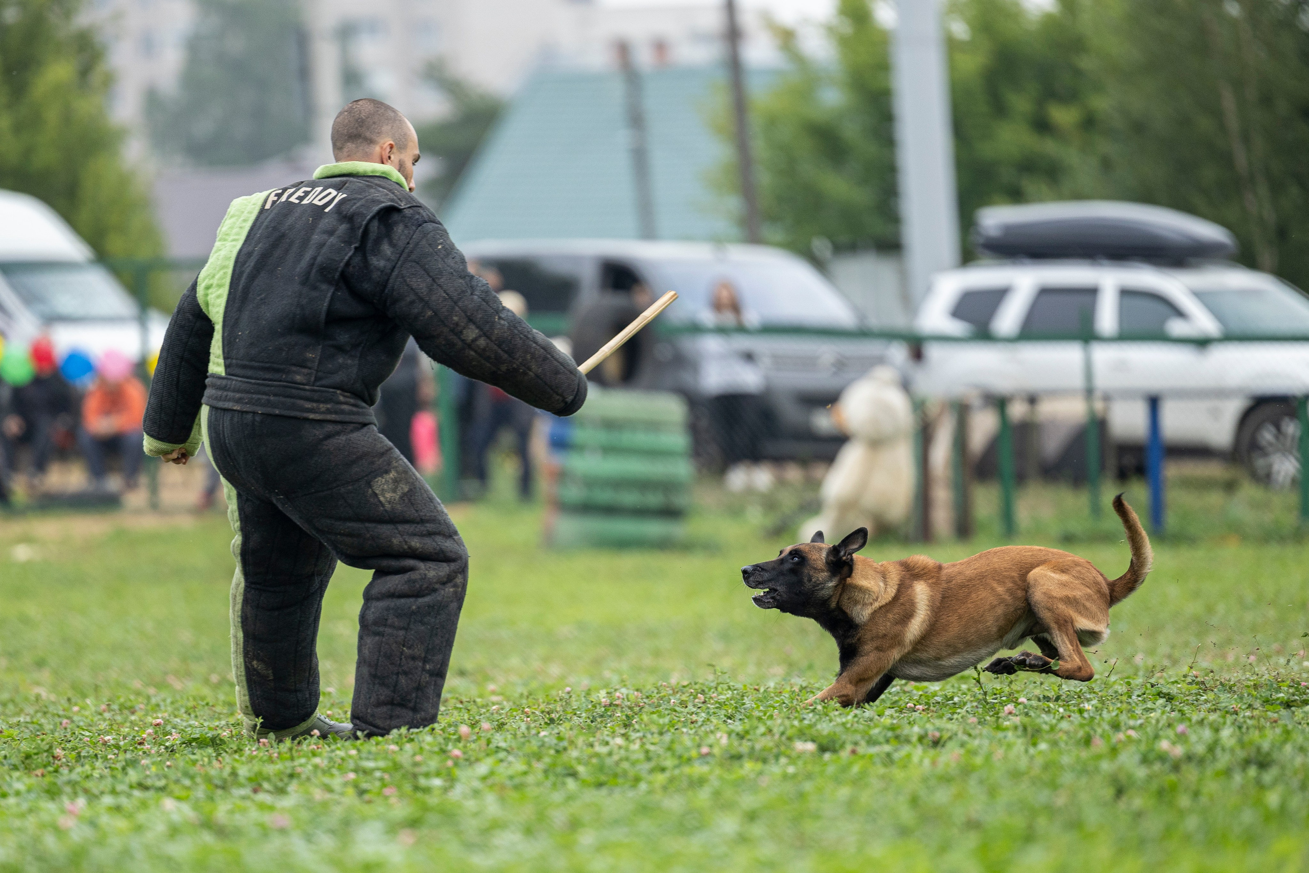 Соревнования по Мондьорингу г. Вологда 10-11.08.2024. Фотограф-анималист Анна Маринич
