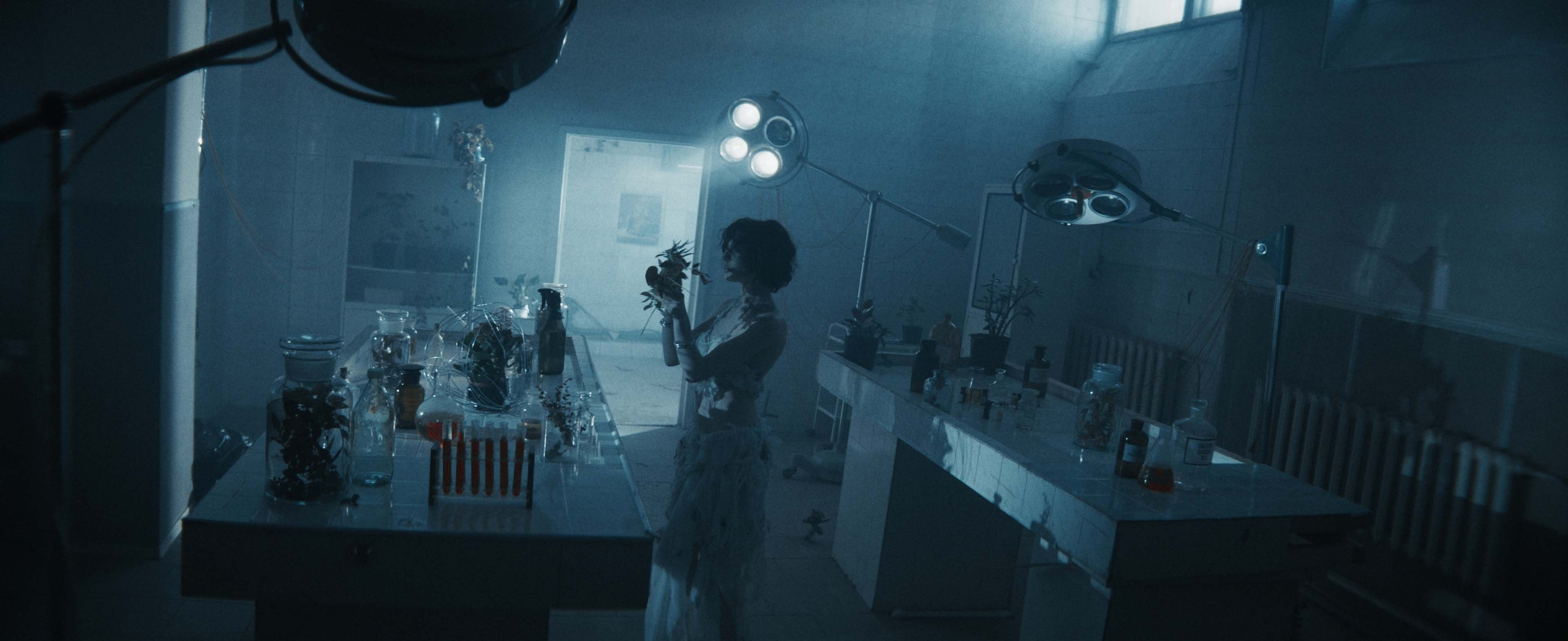 Цветокоррекция видео