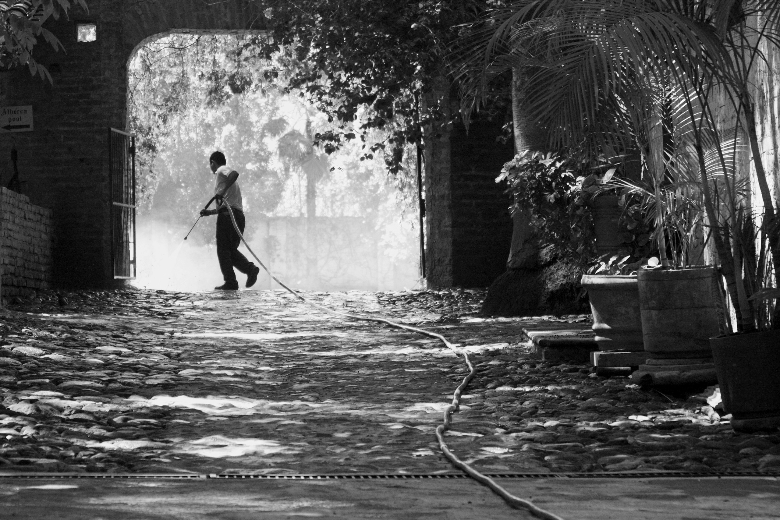 Жанр. Фотограф Лагутин Анатолий