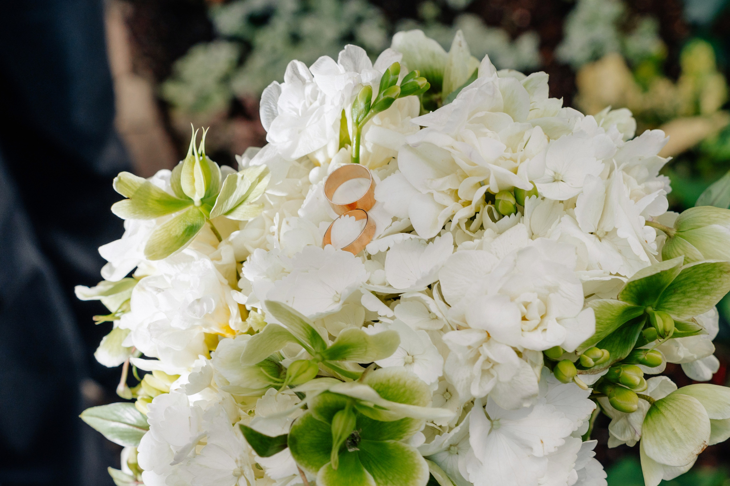 Свадебная в оранжерее. Михаил и Виктория. Фотограф Сергей Лукьяненко