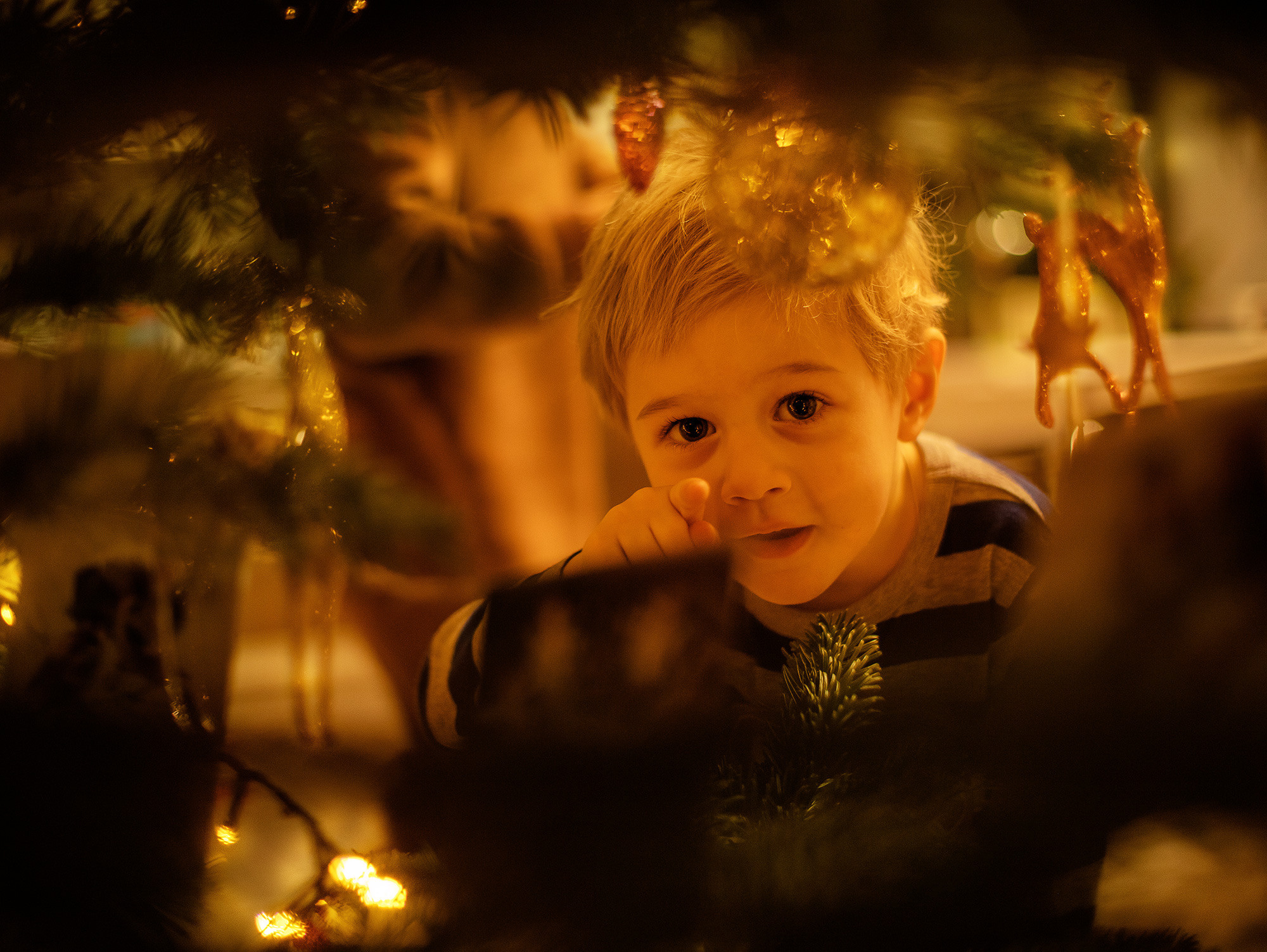 Прогулка. Семейный фотограф в Санкт-Петербурге Ирина Иванова