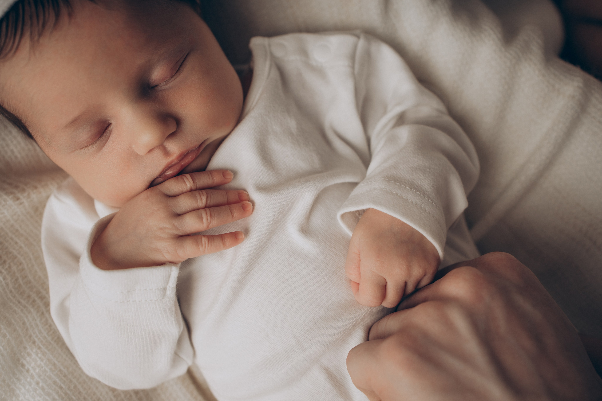 Дея. Детский и семейный фотограф в Пушкино, Мытищи, Москва Сергеева Светлана
