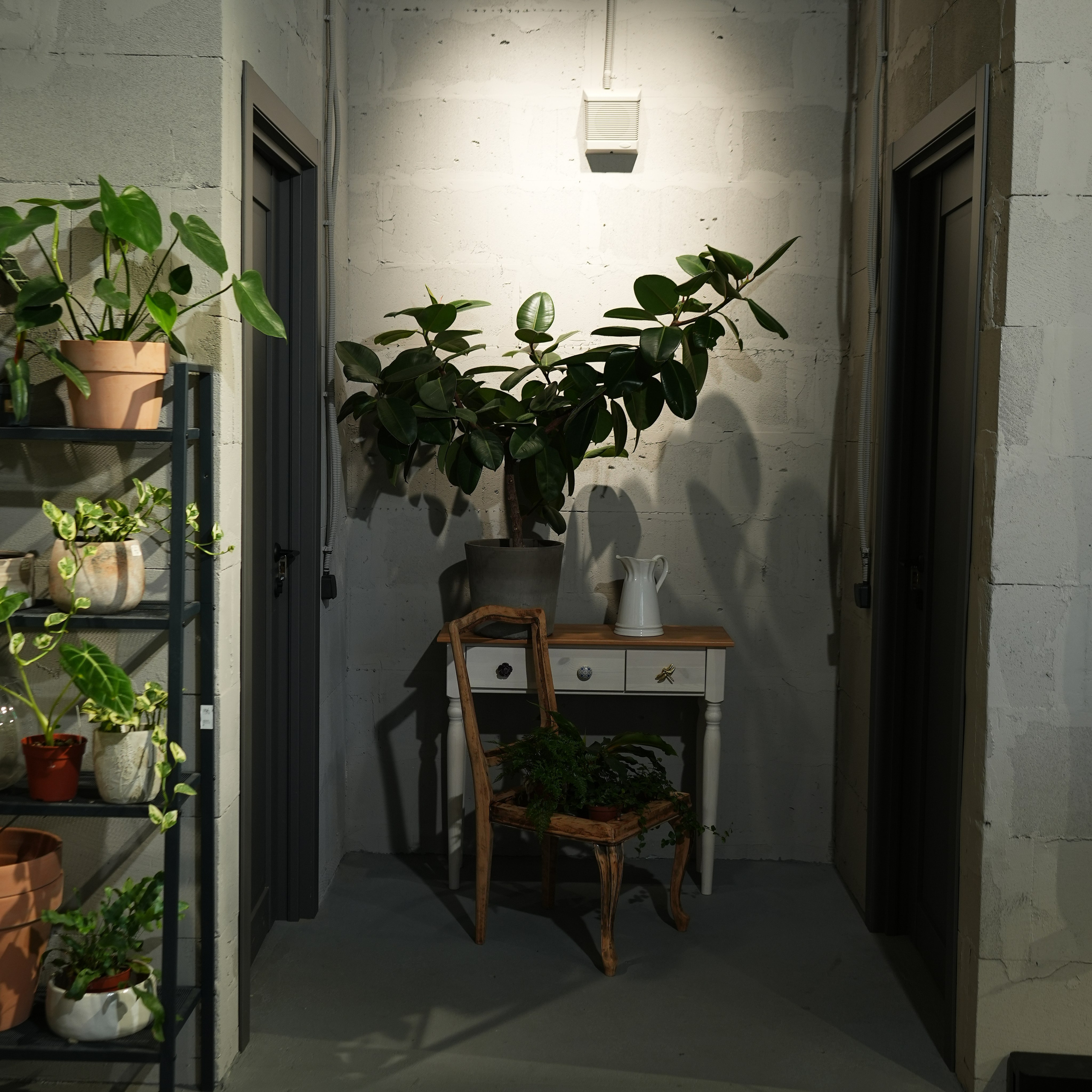 Интерьерная фотосъемка флористического магазина