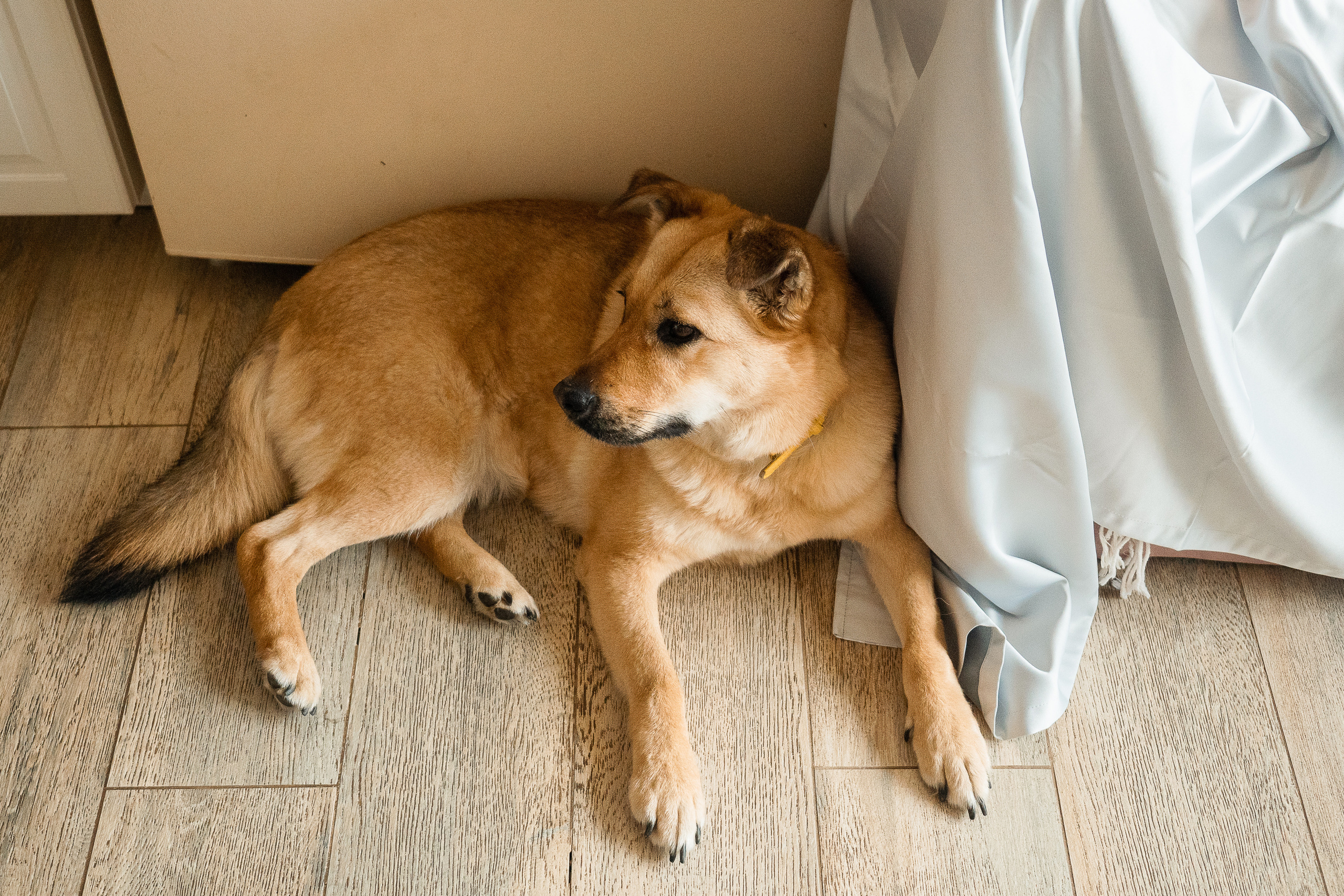 Семейные фотосессии. Алёна Орлова Портретный фотограф Москва