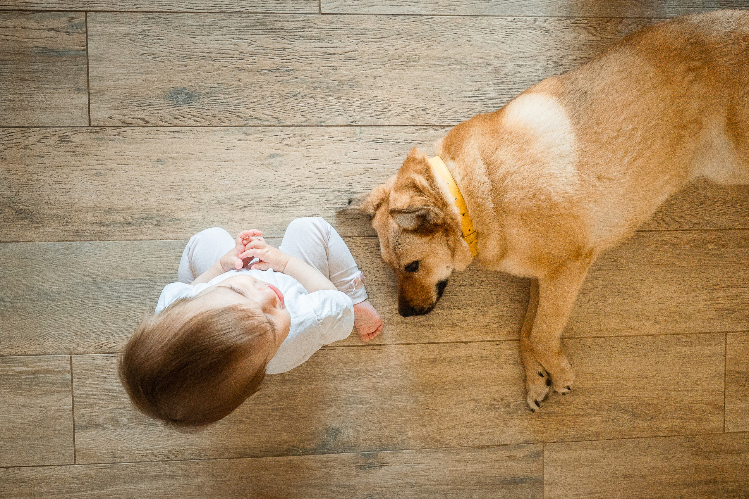 Семейные фотосессии. Алёна Орлова Портретный фотограф Москва