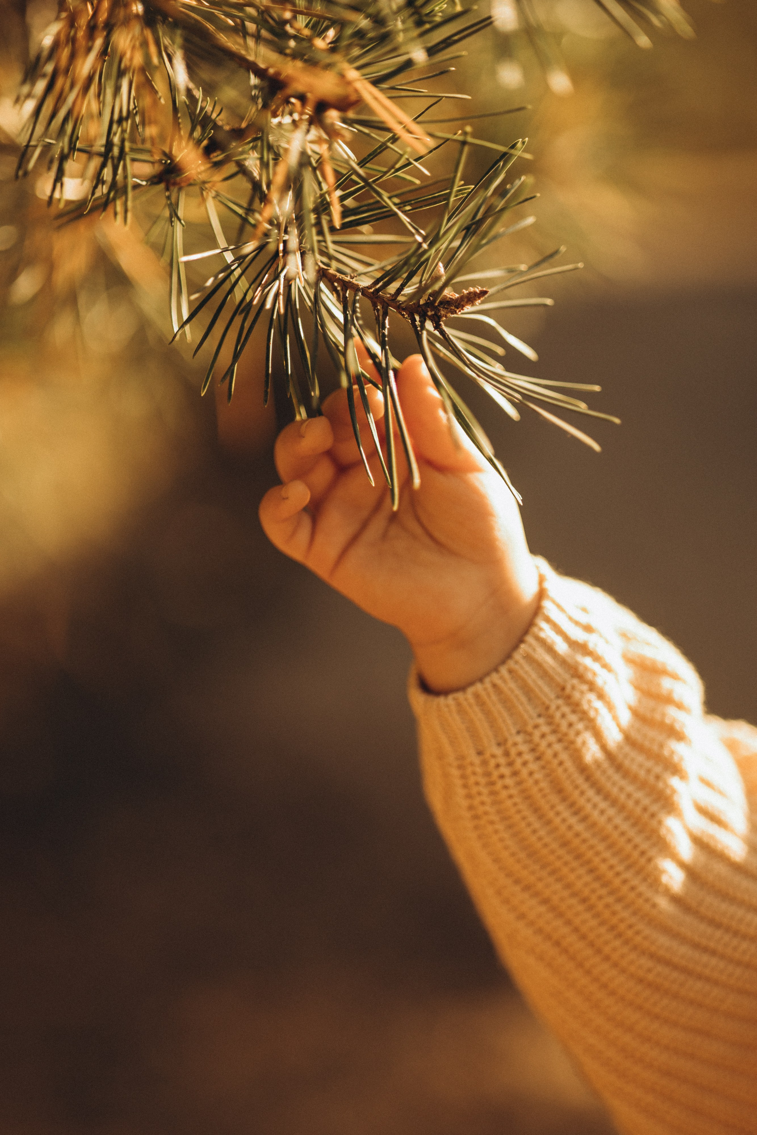 Гарик, Арпине и Марине. Семейный фотограф Москва Валерия Белова