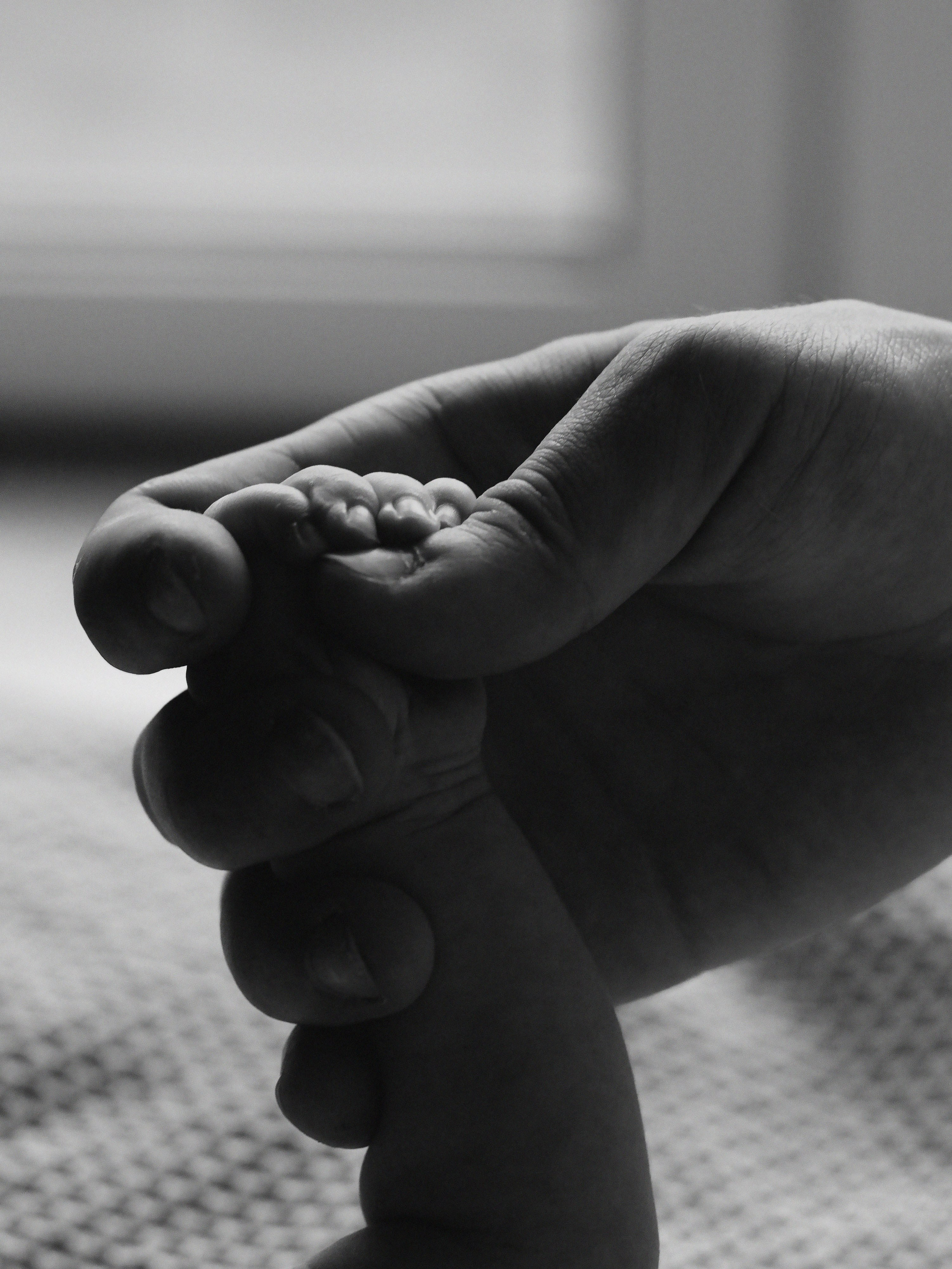 Семейный и детский фотограф Наталья Патрушева Котлас