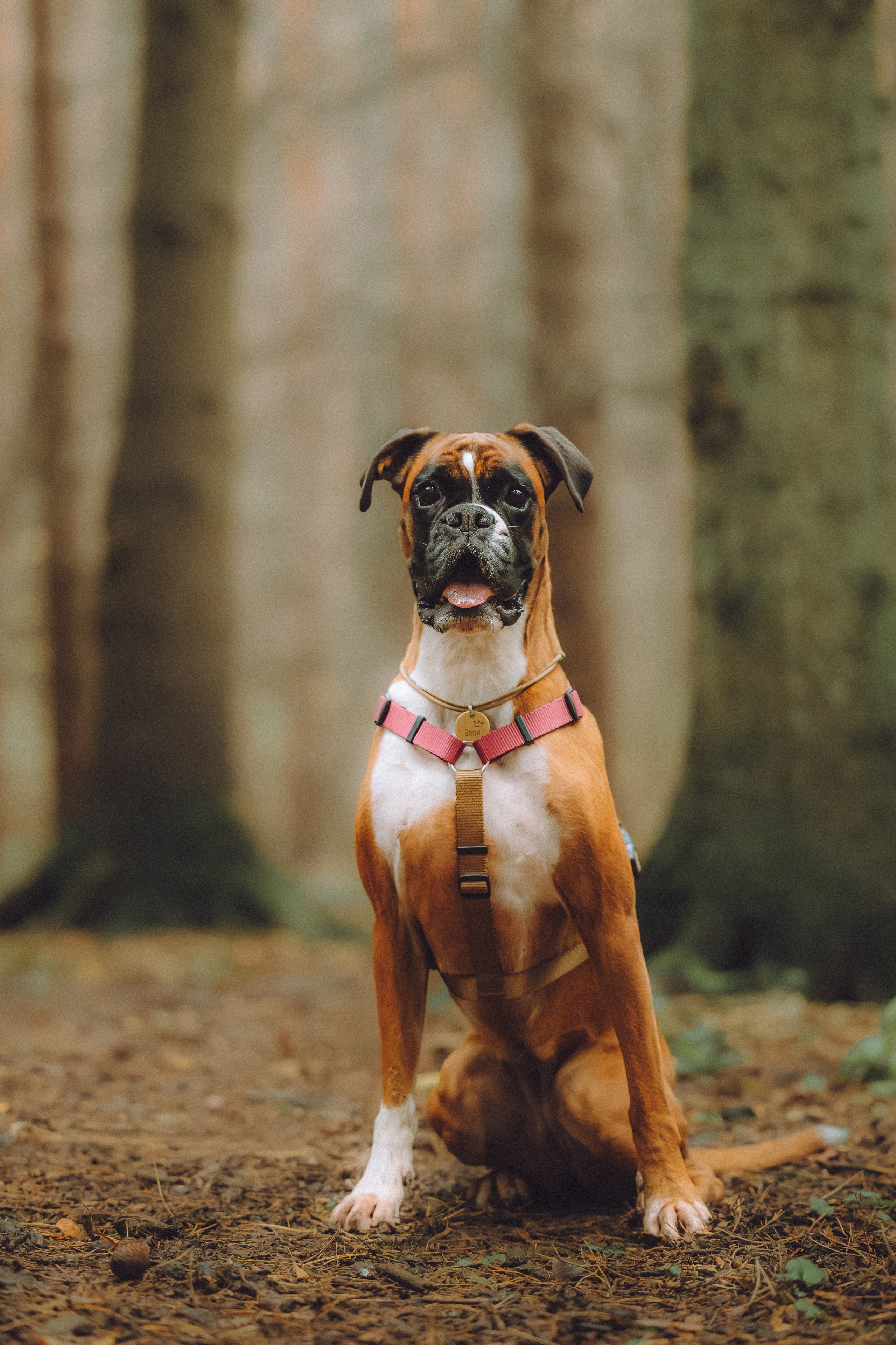 Элли и ее семья