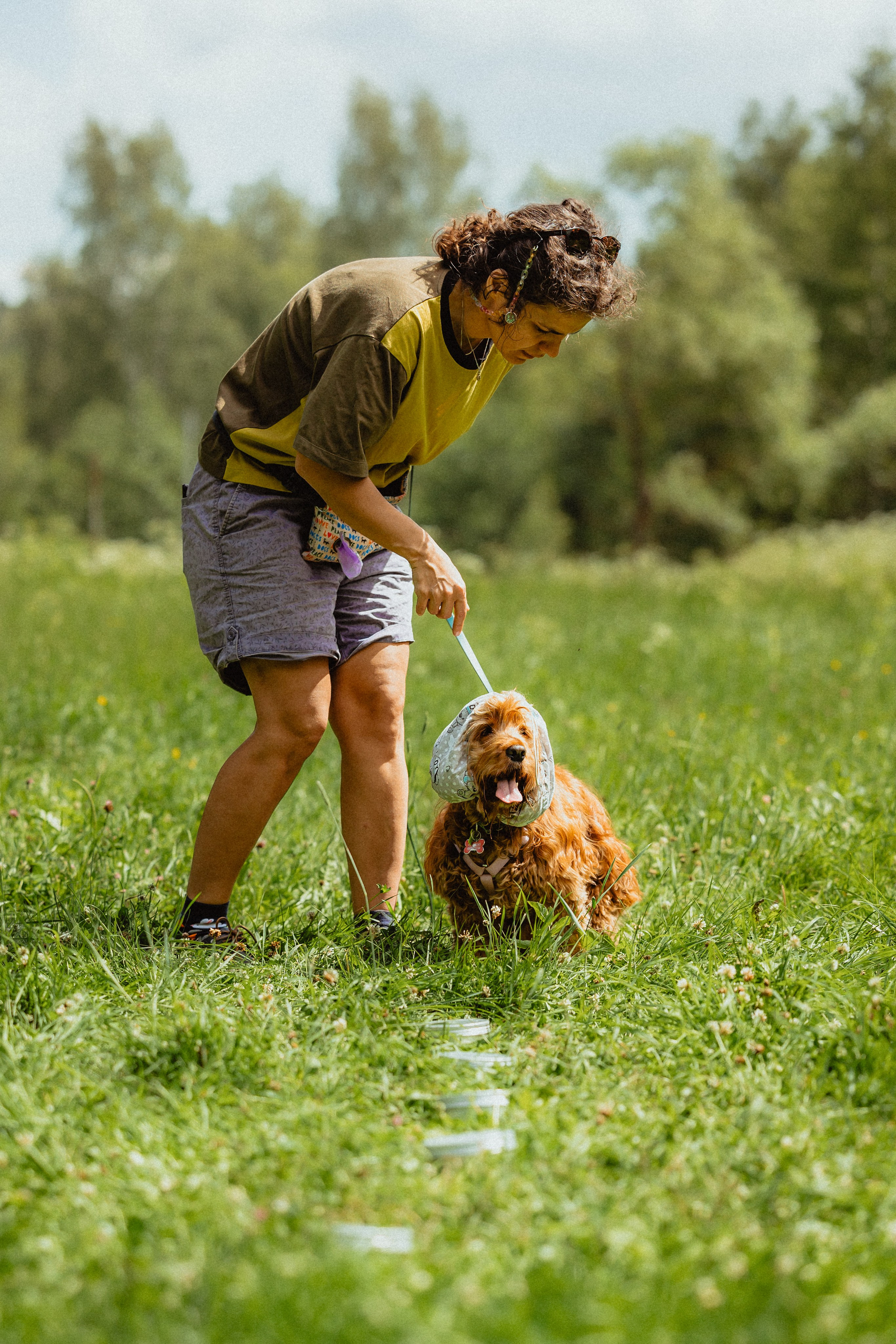 Выездной дог-тренинг от школы «Шерсть имею»