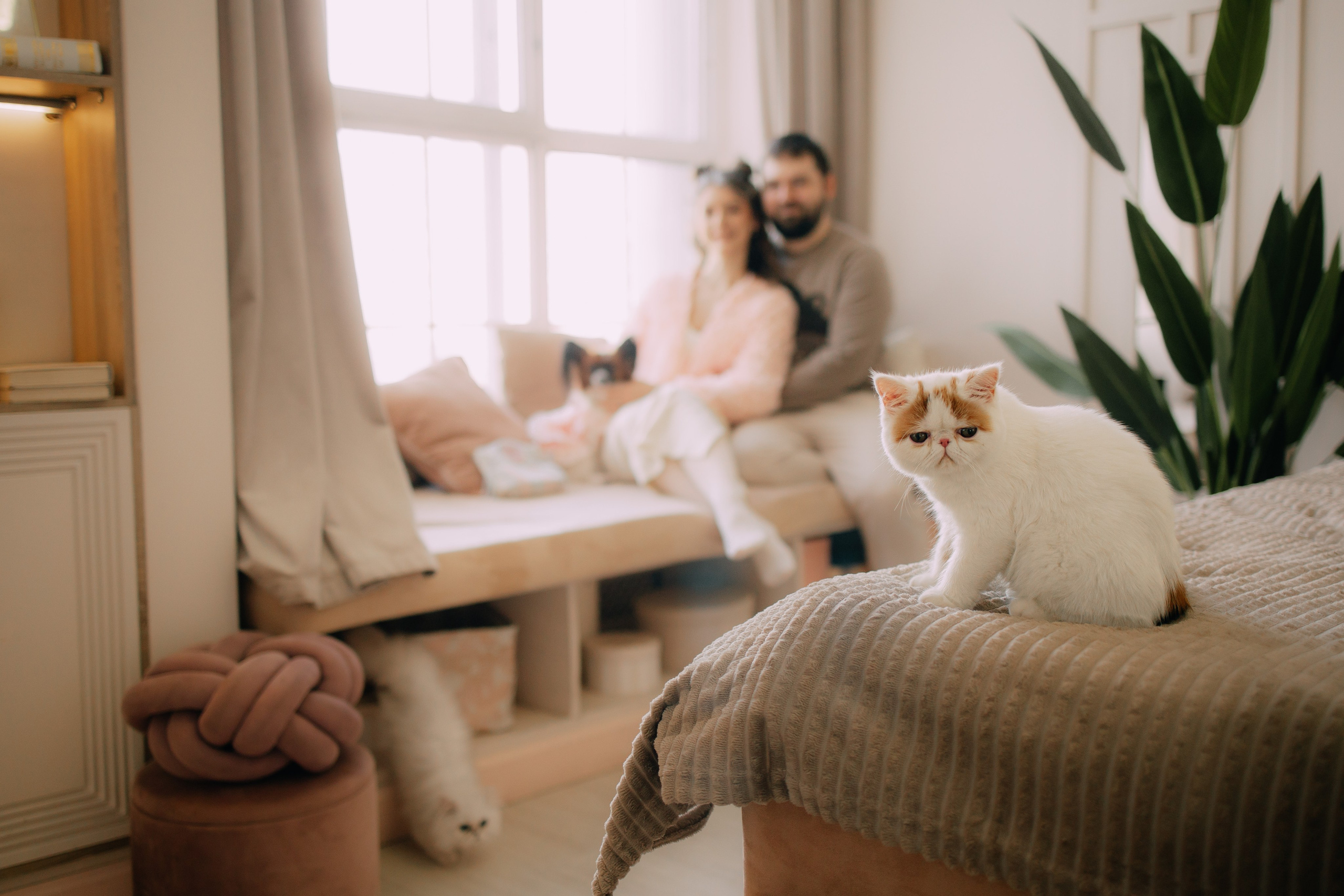 Султан, Мэй Мэй и Шанталь и их семья