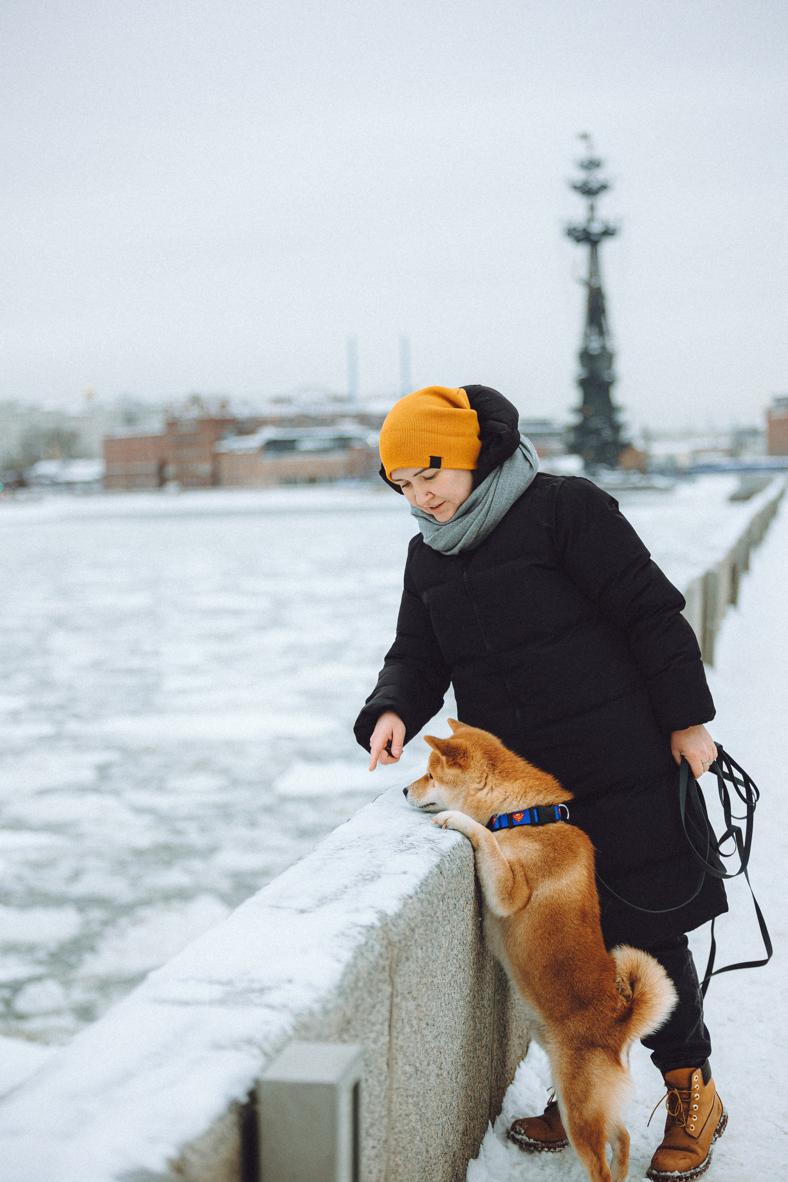 Настя и Ронин