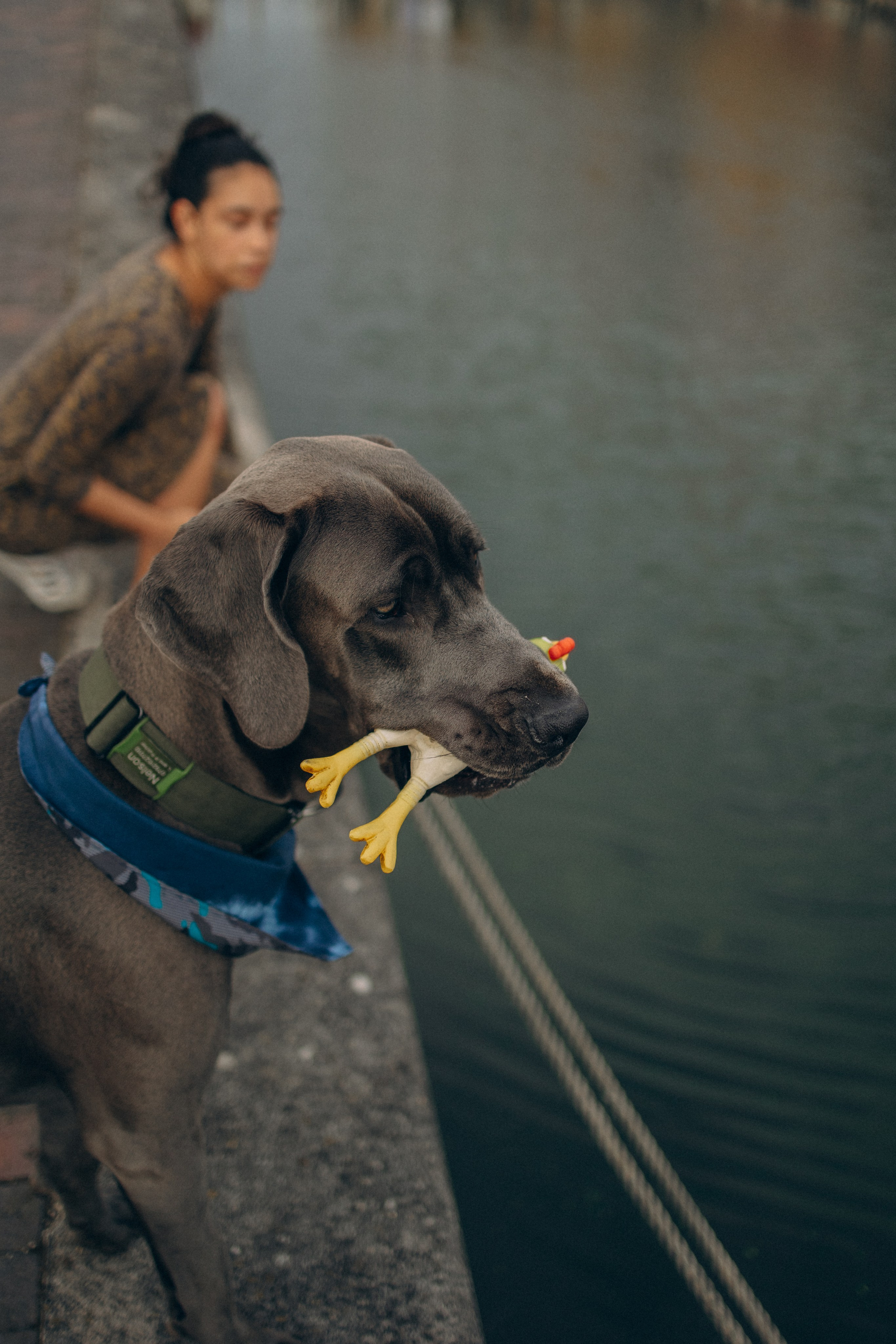 Луиза и Нельсон. Фотораф — анималист Мария Шистка