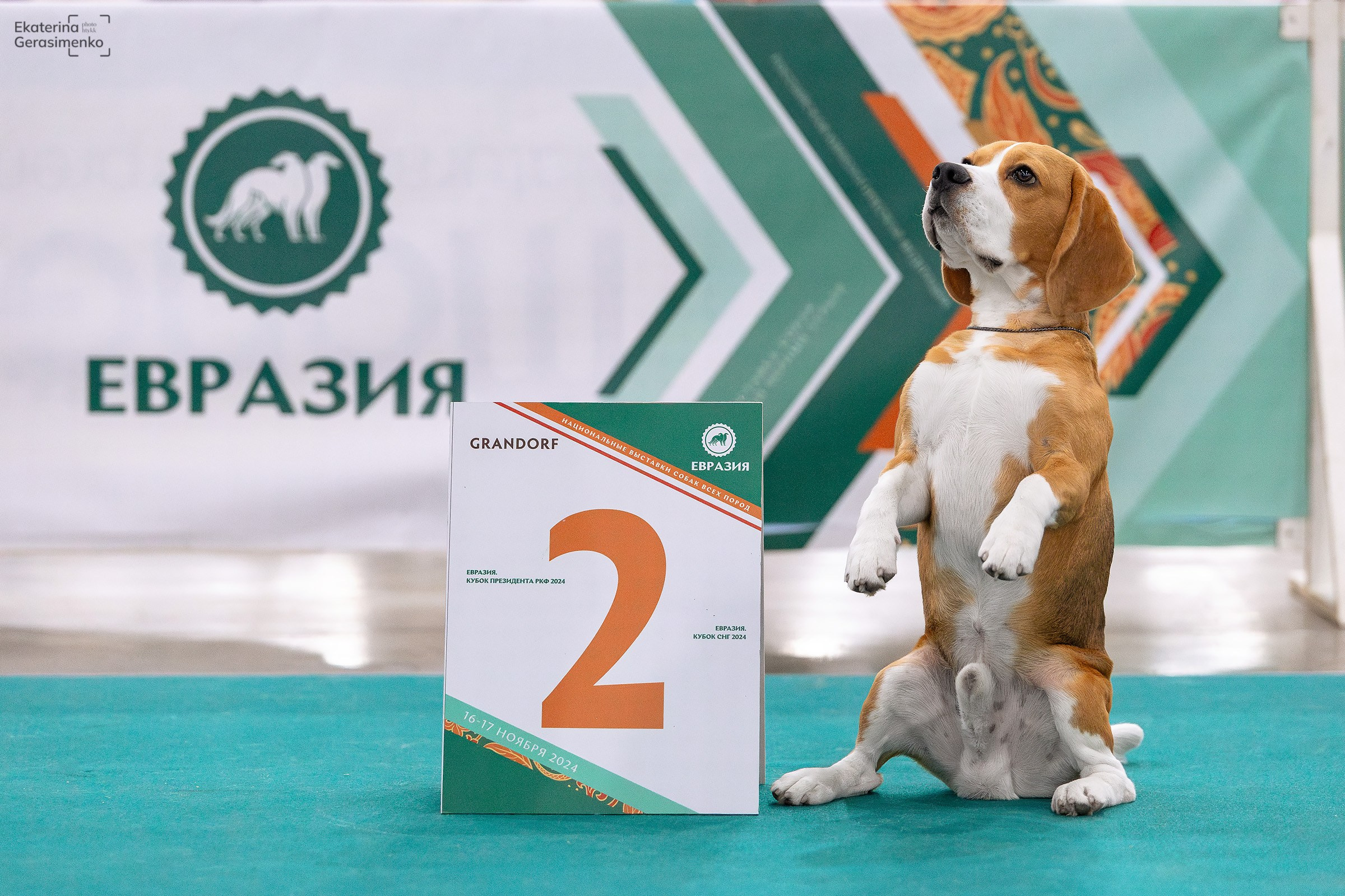 16–17 ноября 2024, Выставка ЕВРАЗИЯ, г. Москва. Htykk_photo