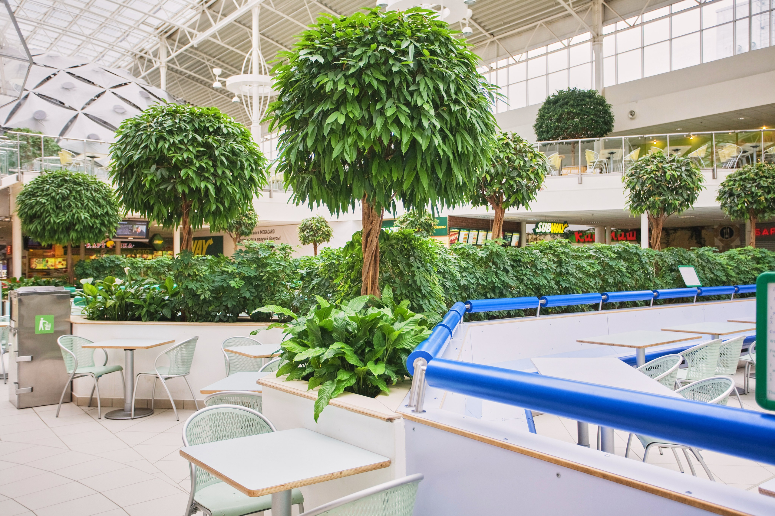 Озеленение ГК Techo. Фото и видео съемка в Сочи Адлере Красной поляне