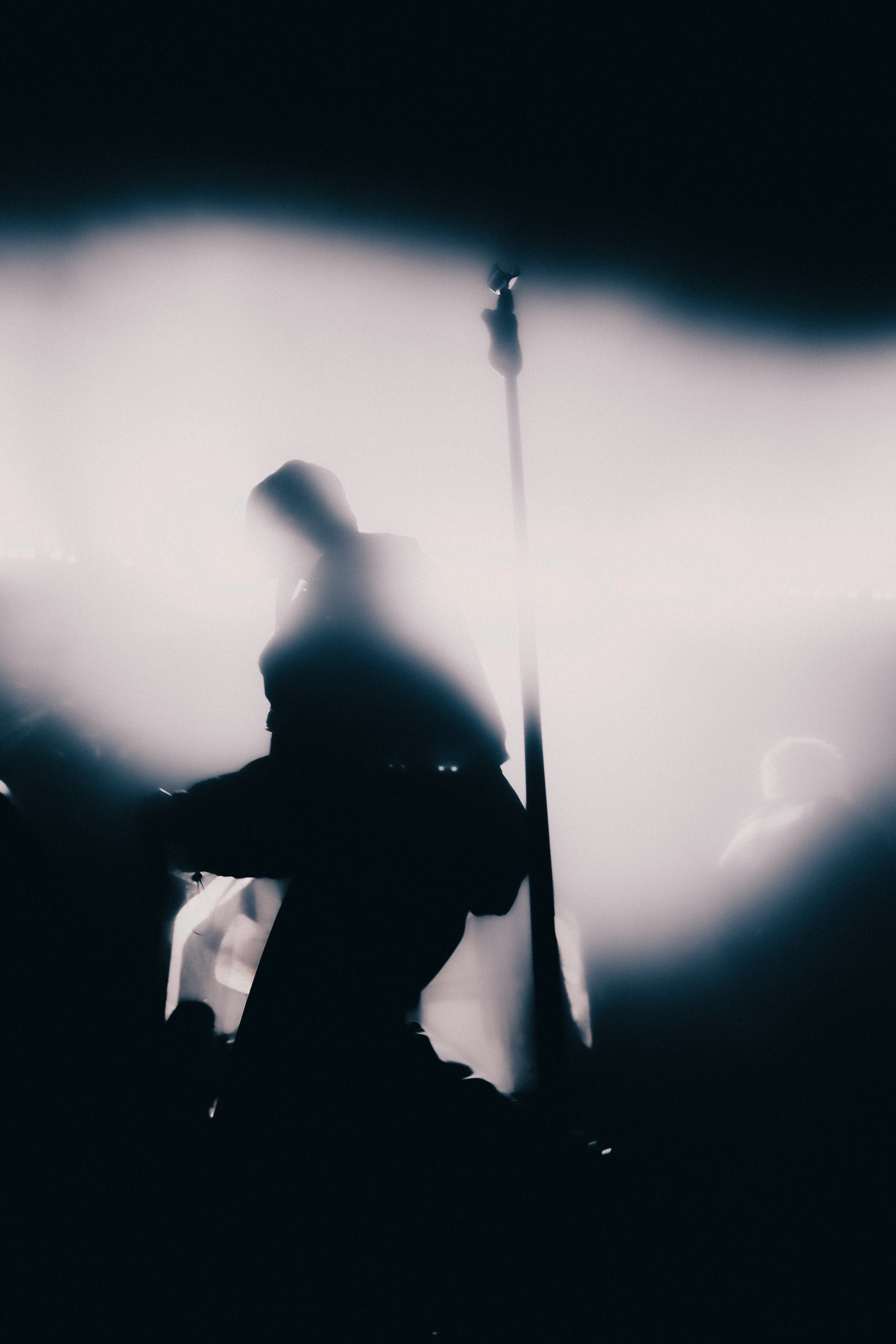 SALUKI. PASHAHARCE PHOTOGRAPHER & VIDEOGRAPHER