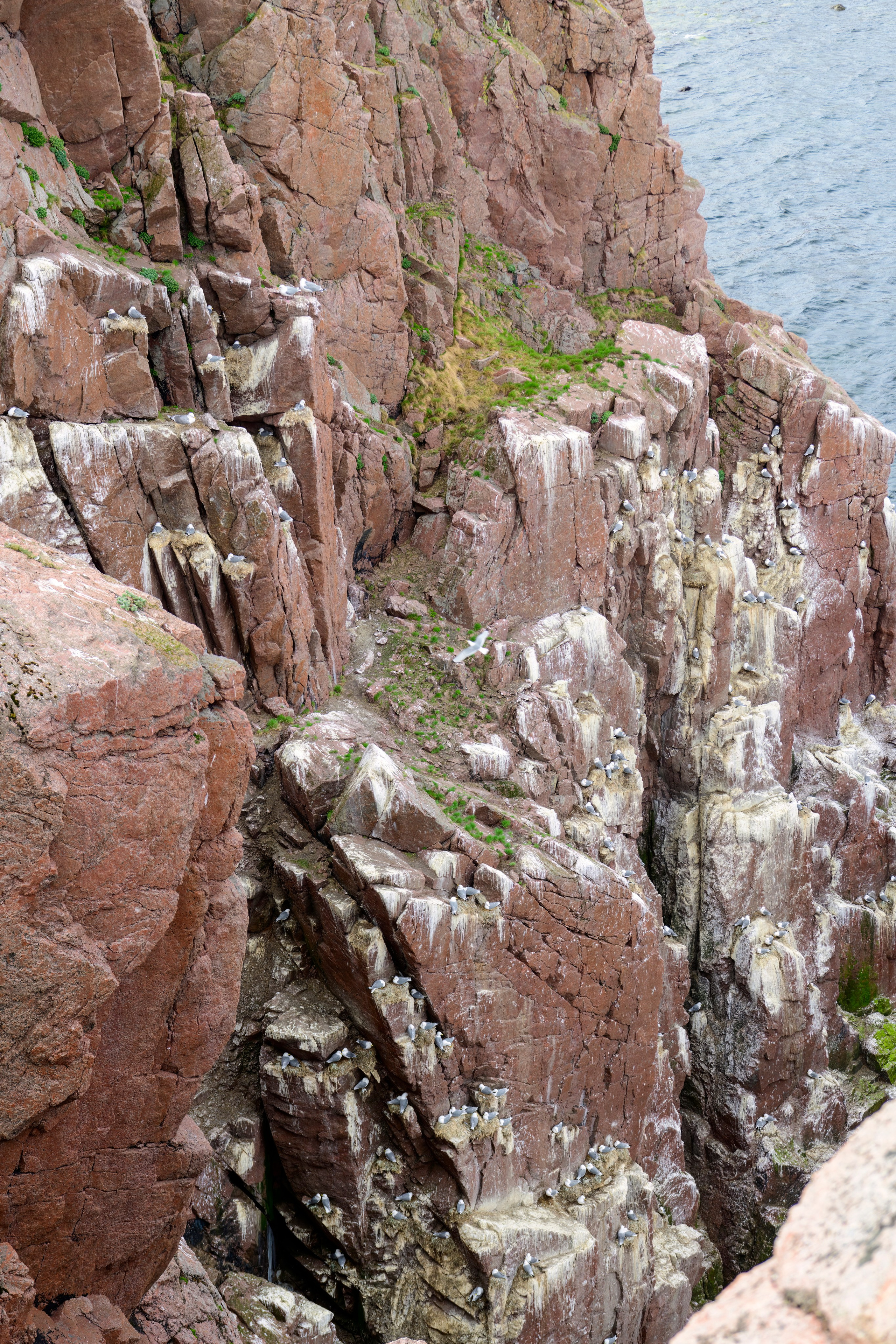 Мурманская область. Июнь 2024. Фотограф Сергей Пупонин