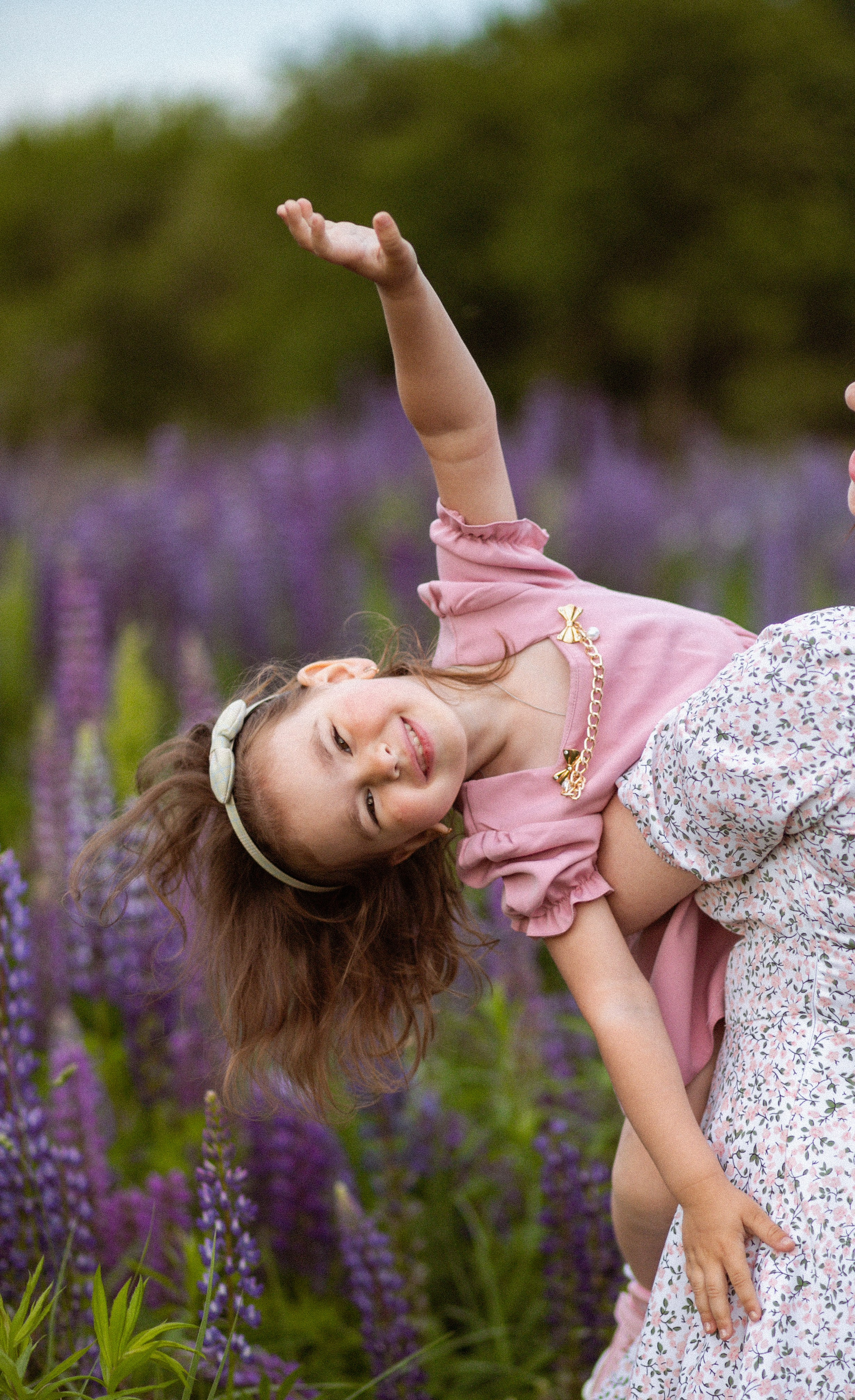 Июньские люпины. Фотограф в Москве/Санкт-Петербурге