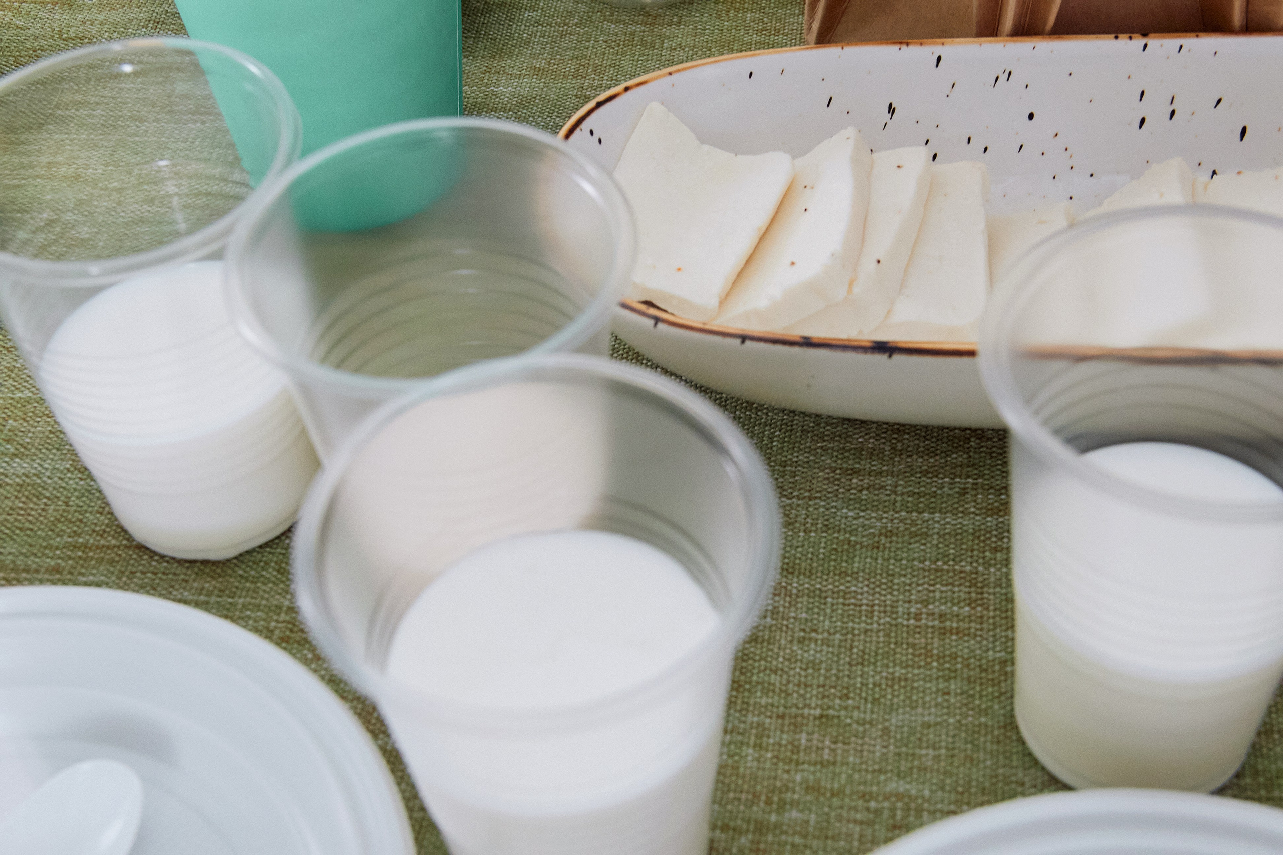 Экскурсия «Агроферма-Катынь». Фотограф в Смоленске Ася Польшина