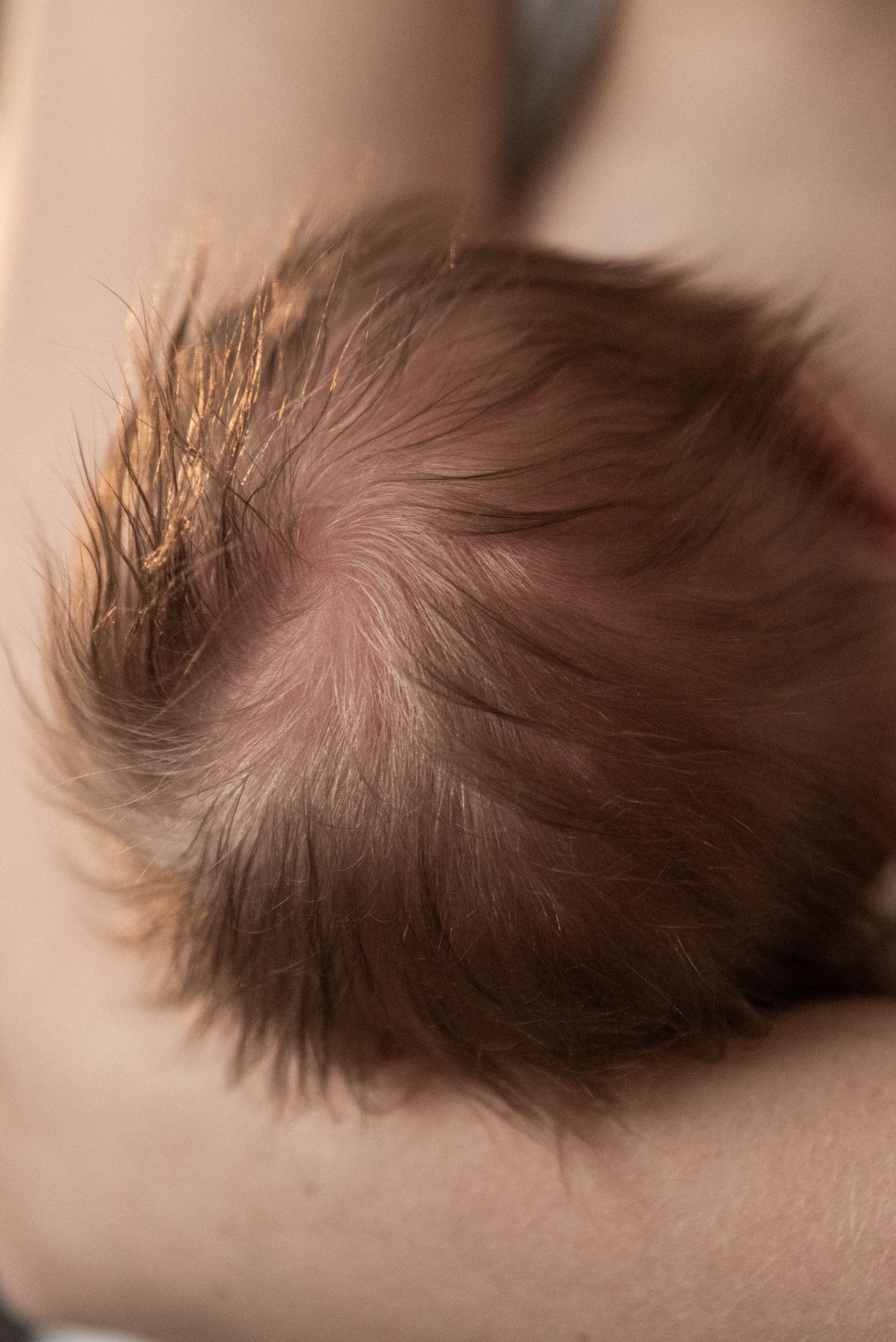 Ксюшенька. Семейный и детский фотограф в Санкт-Петербурге Татьяна Дмитренко