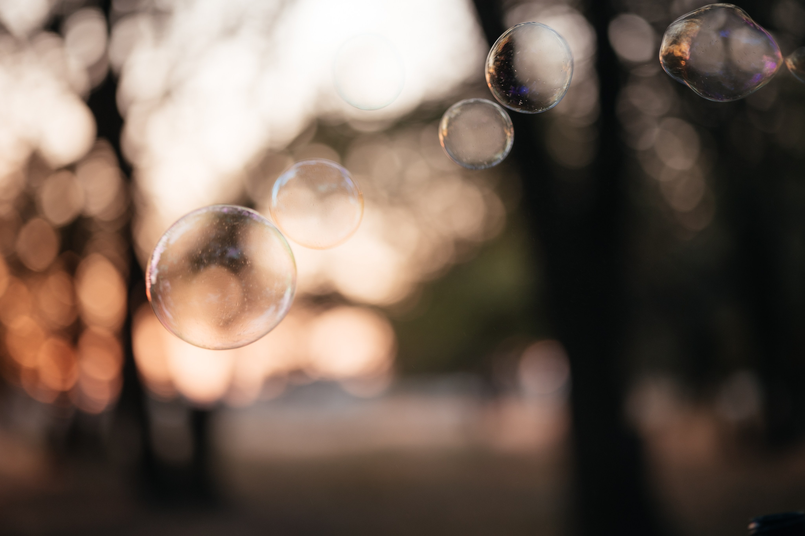 Прогулка в Дубовой роще. Фотограф Крохин Олег