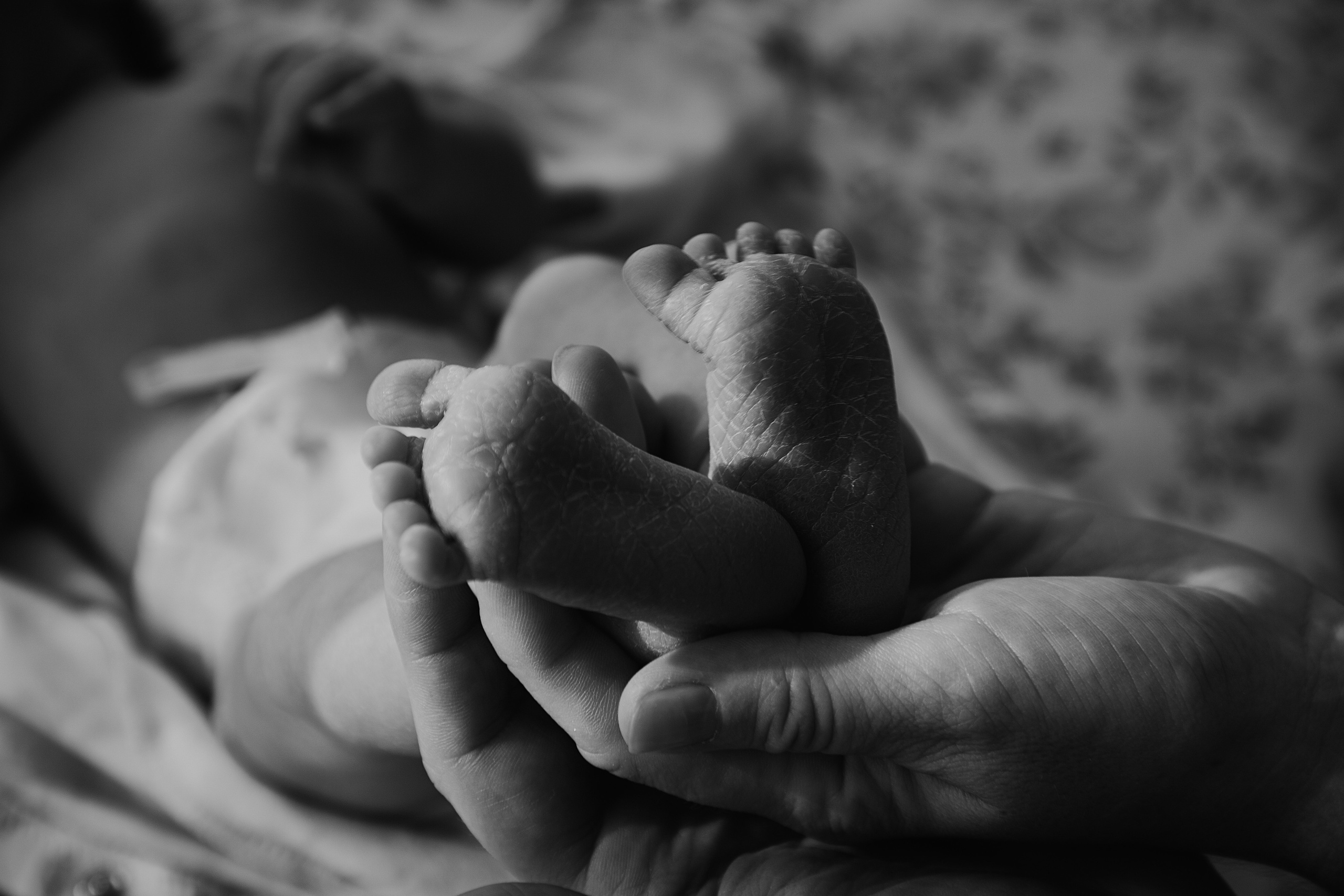 Выписка с роддома. Свадебный и семейный фотограф/видеограф в Краснодаре Наталья Осинская