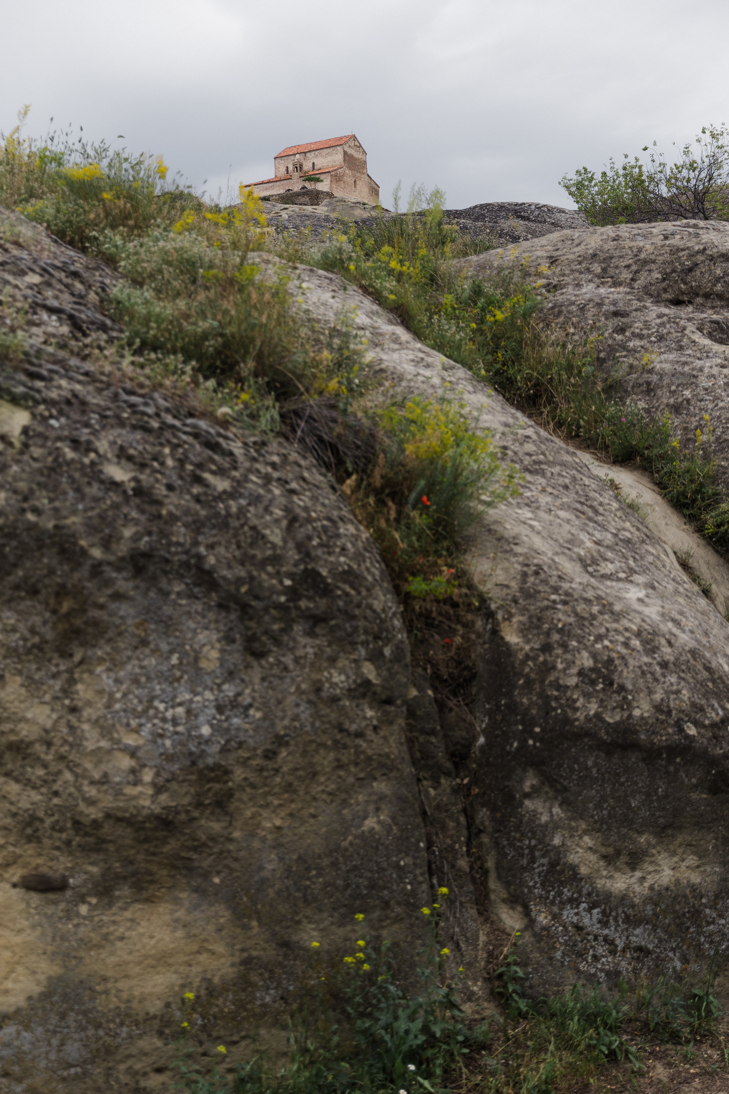 Georgia. Свадебный и семейный фотограф в Краснодаре Роман Моско