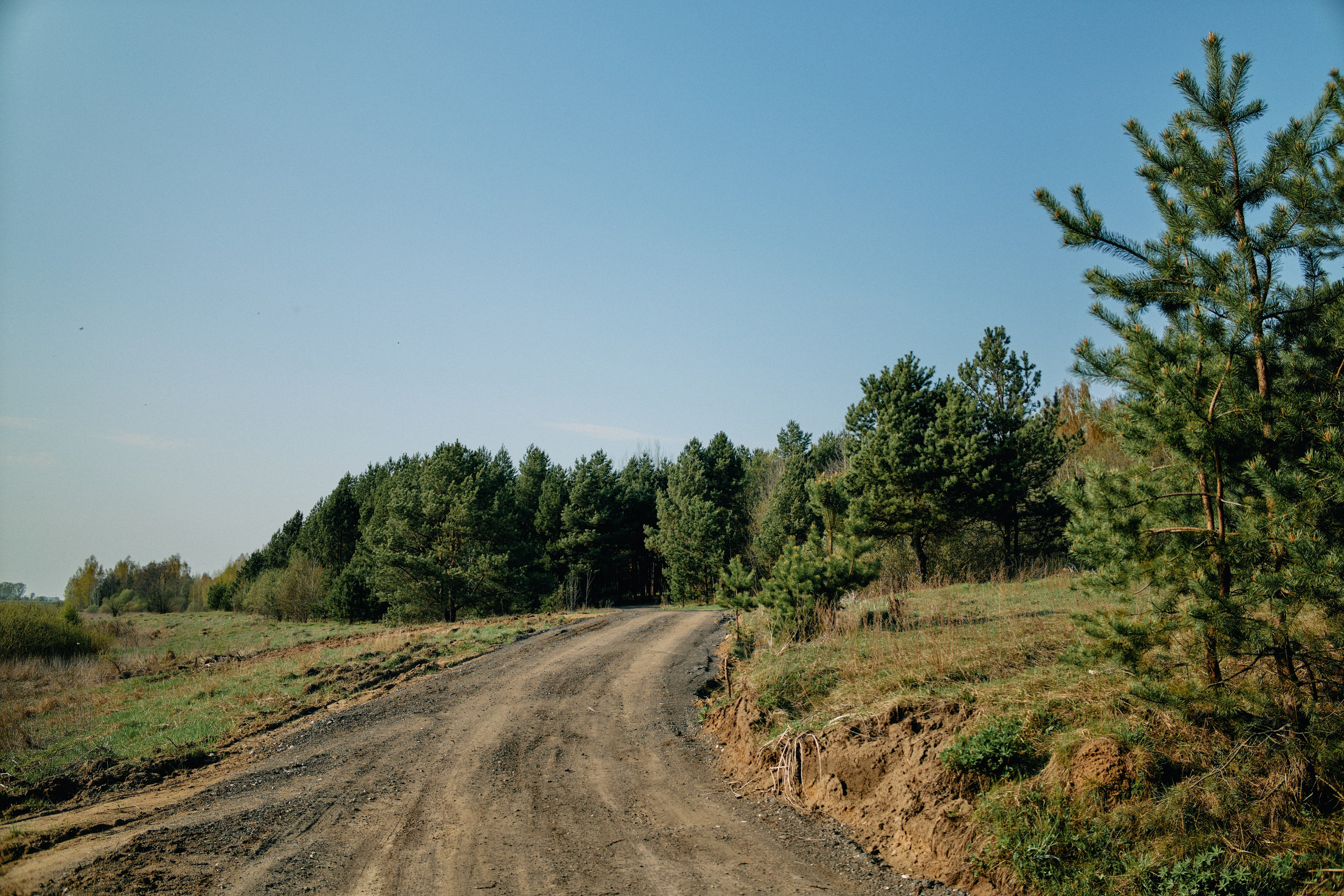 Бутик-отель Поле летом. Профессиональный Фотограф во Владимире, в Москве и в Суздале — Полина Романычева
