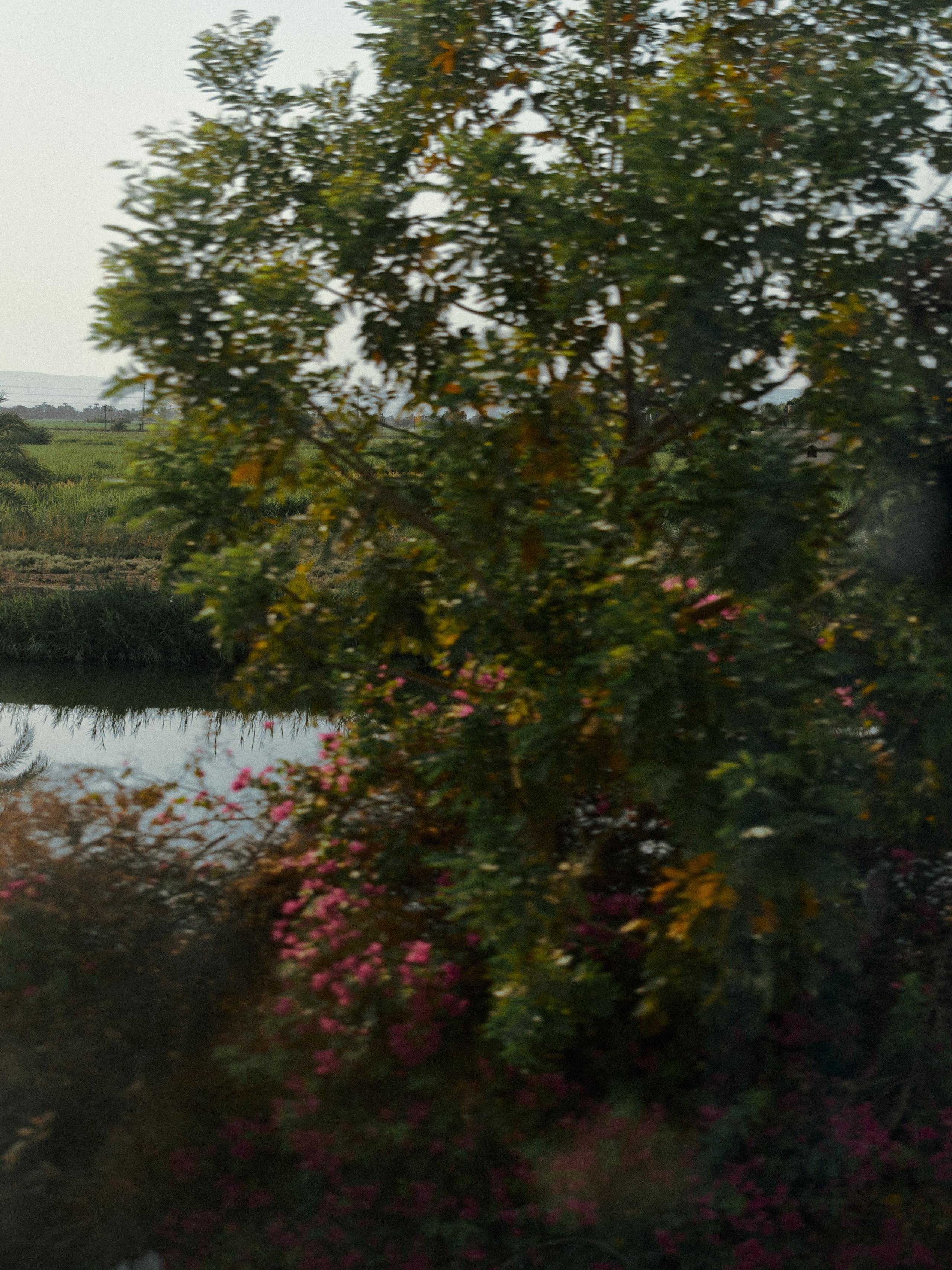 Природа. Jorgis Talè — photographer, kind person, teacher of arts and other mag