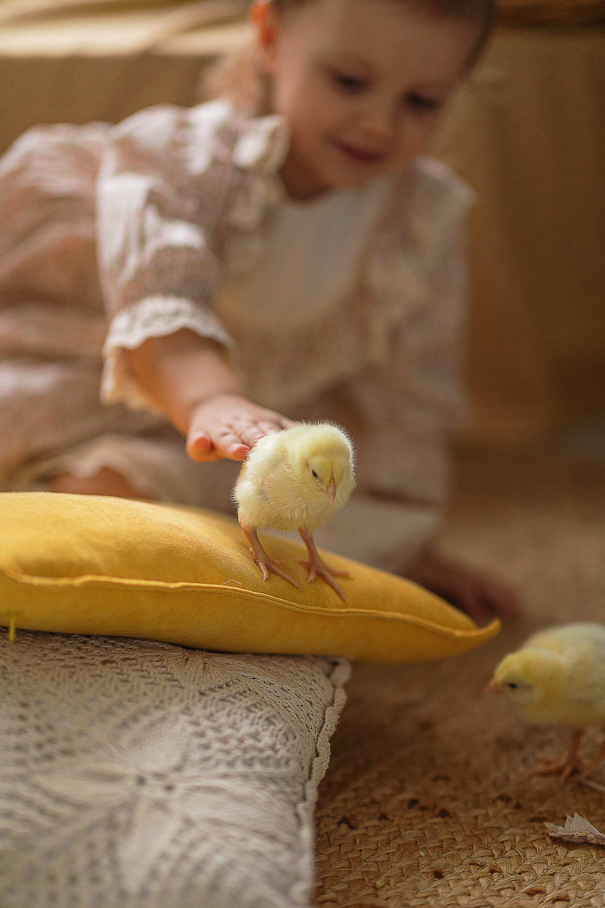 С животными. A.Novinskaya