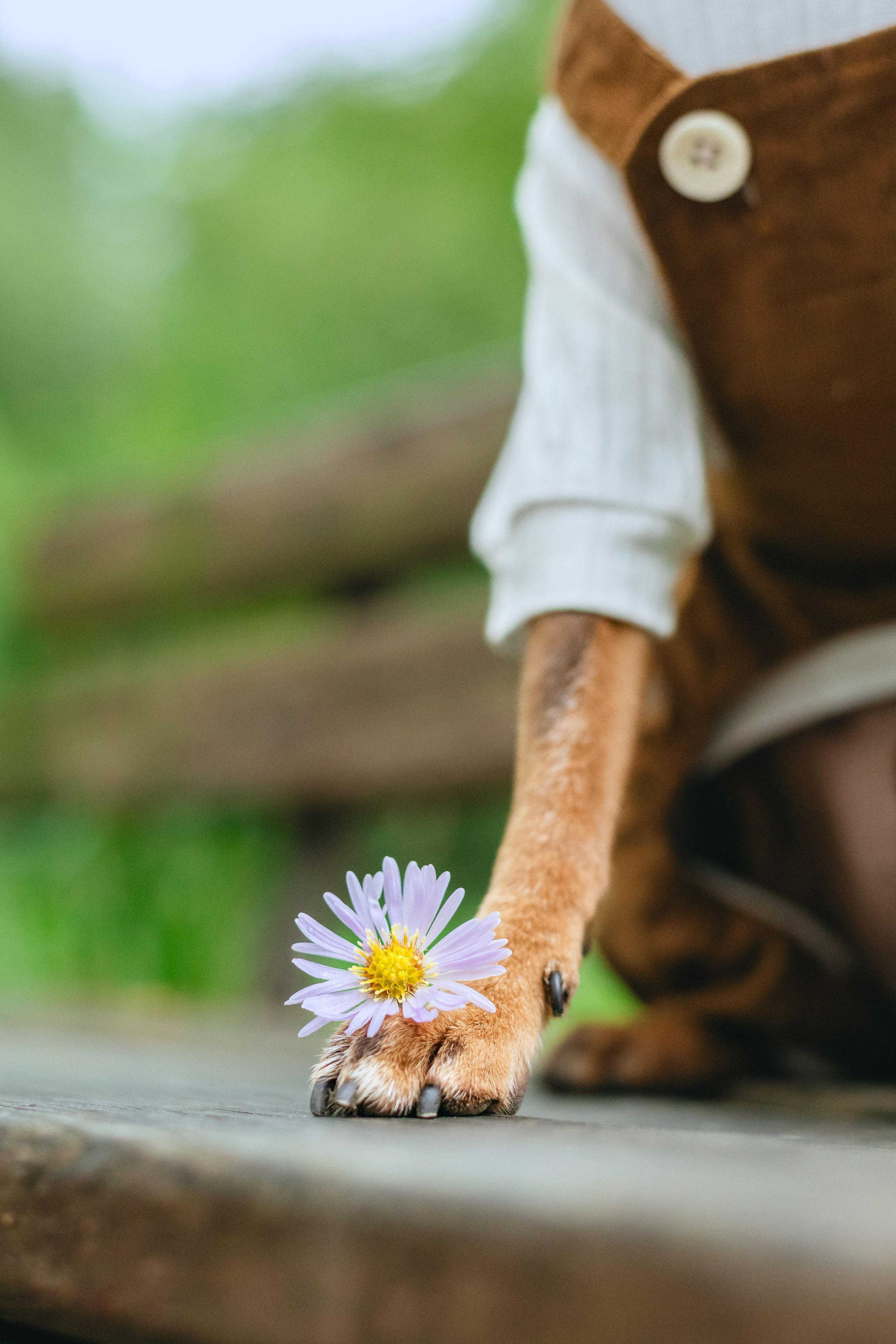 Юля и Леонид. Фотограф-анималист Татьяна Степанова