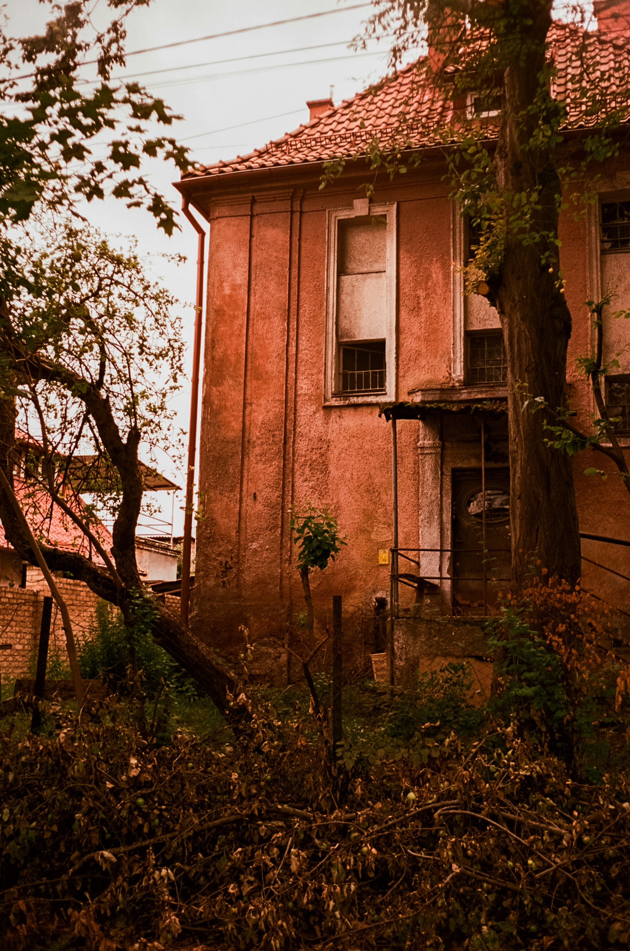 12–13 июля Калининград / Minox 35 GT (2) / Kodak Aeronega 100 (Kodak Aerocolor IV)