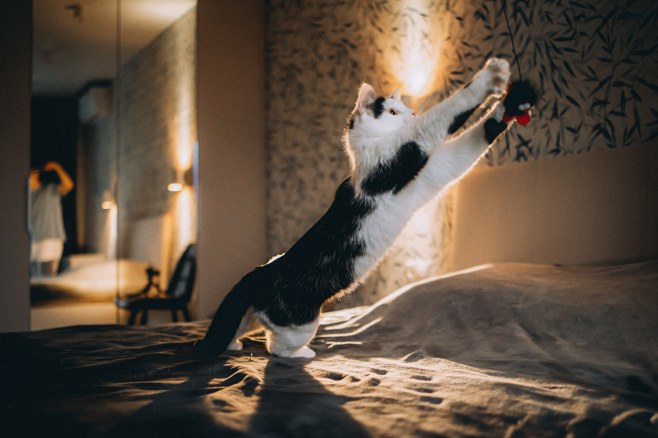 Рыся, Кепа и их семья