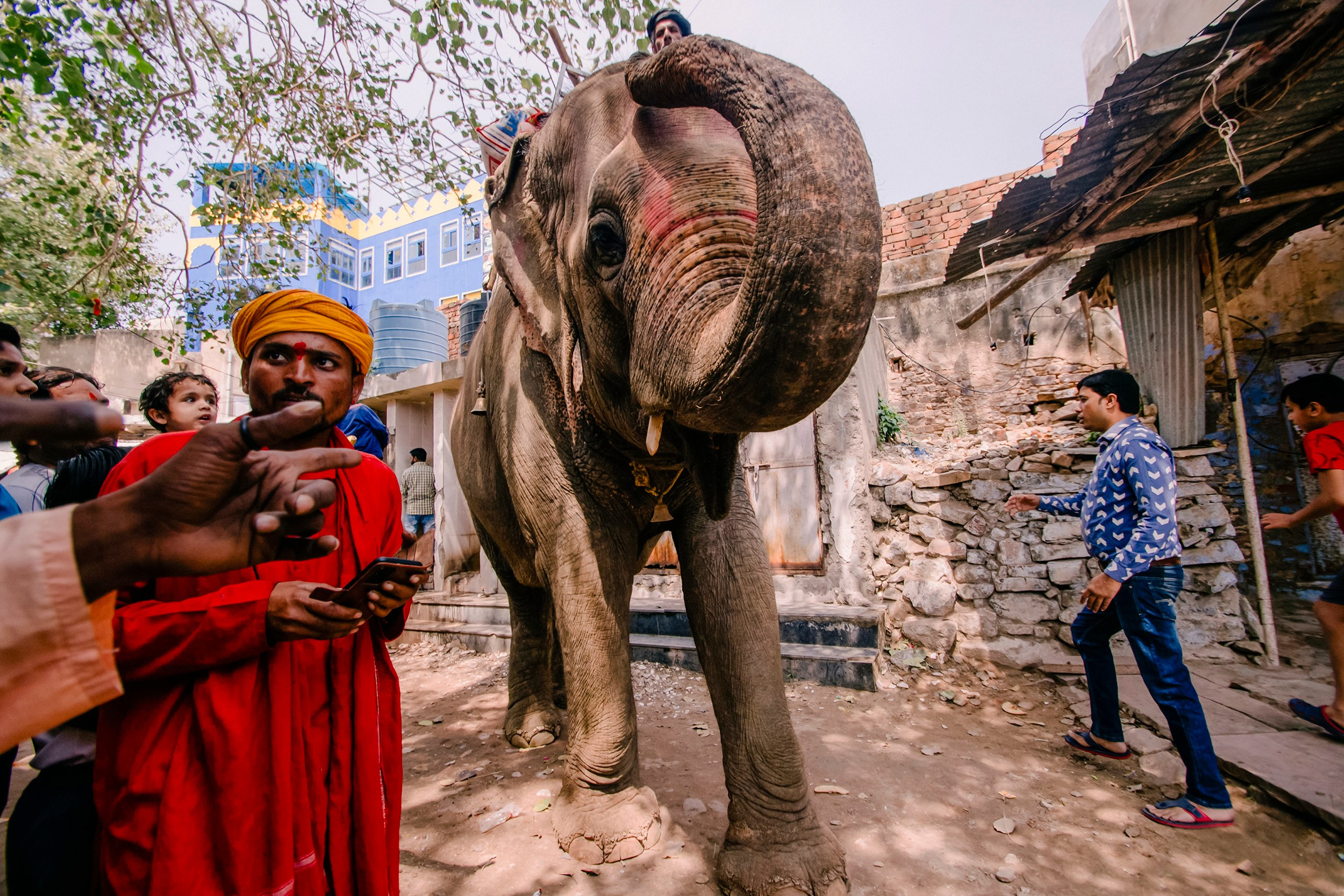 Pushkar street. Iraogo