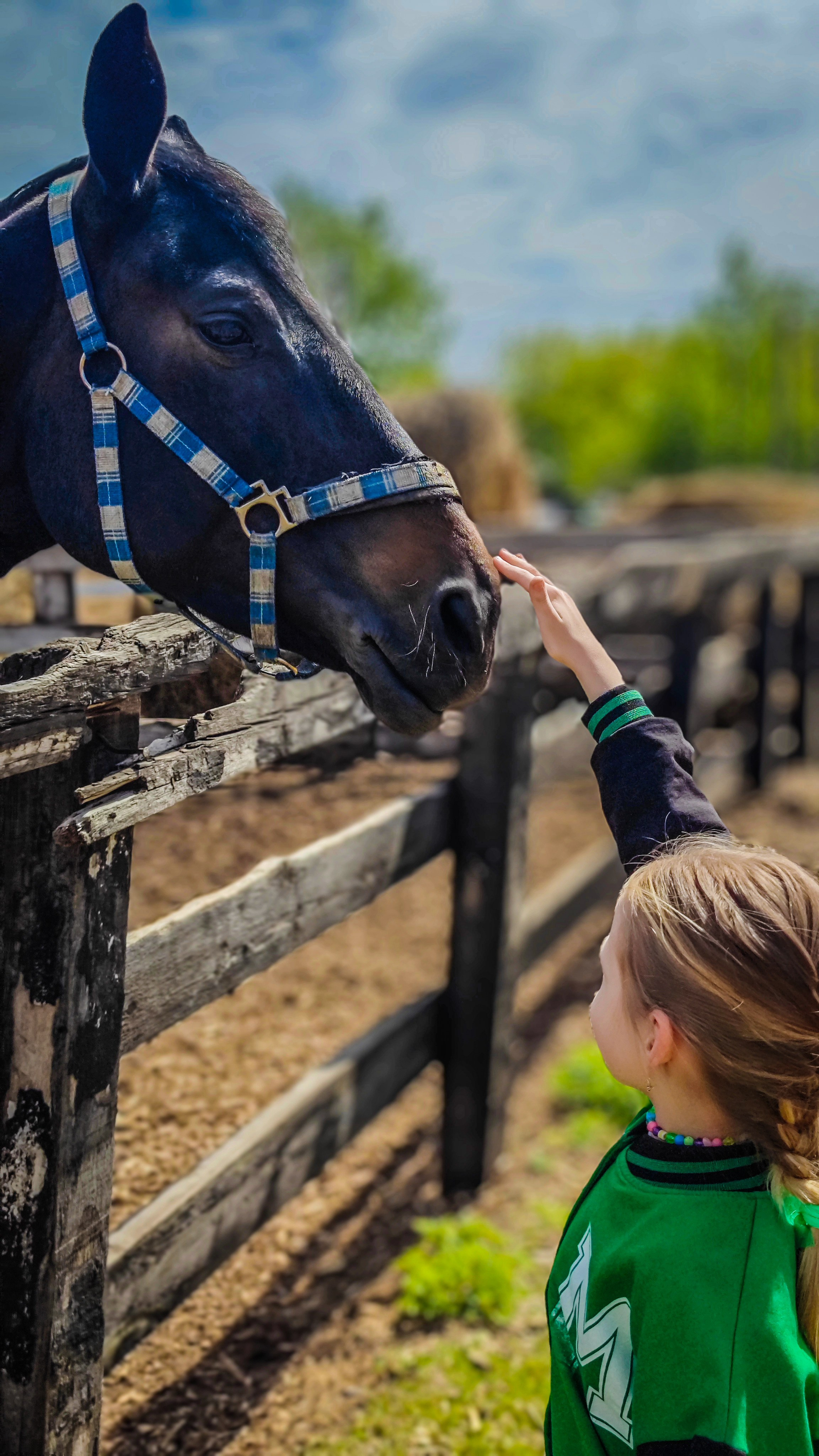 Красноярский ипподром. Открытие сезона 2025. Игорь Урывский. Фотограф Красноярск
