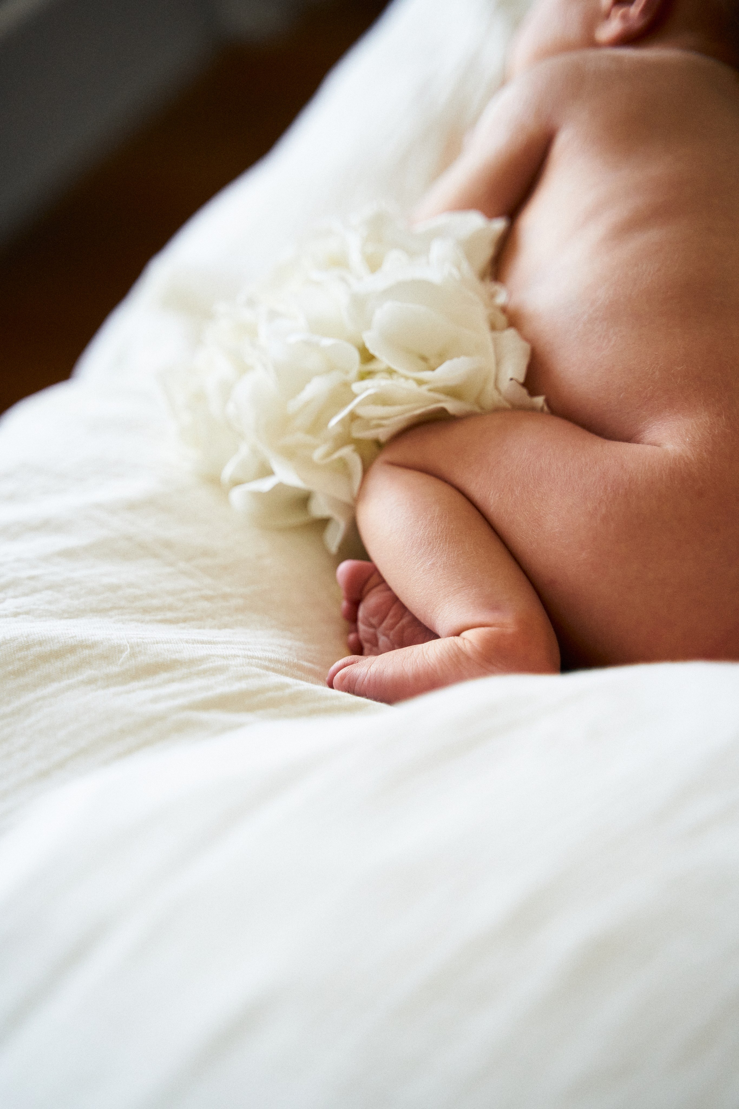 Семейная. Семейный фотограф в городе Надым Наталья Жигунова