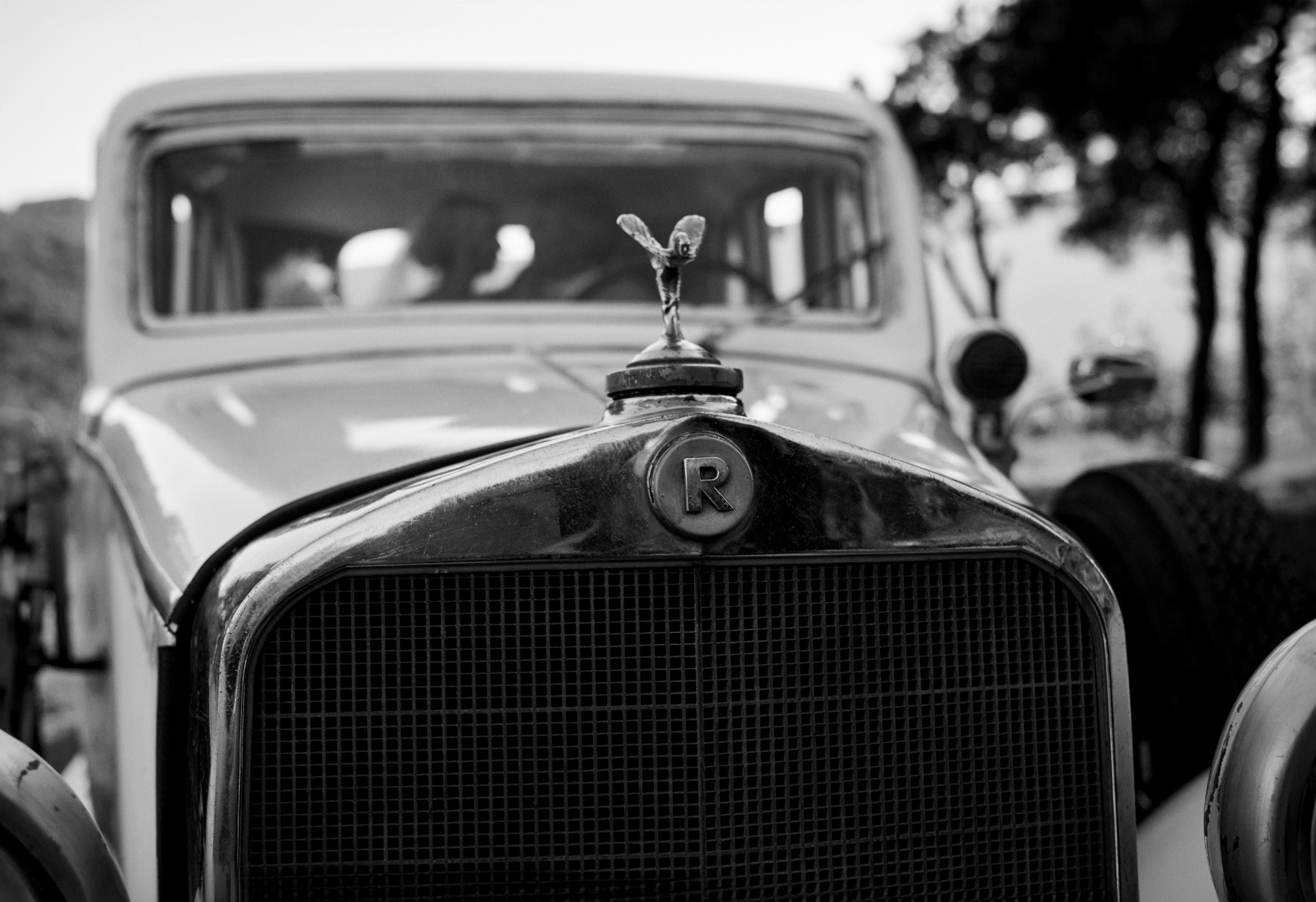 Michele & Elena. Свадебный и портретный фотограф Пётр Ладанов