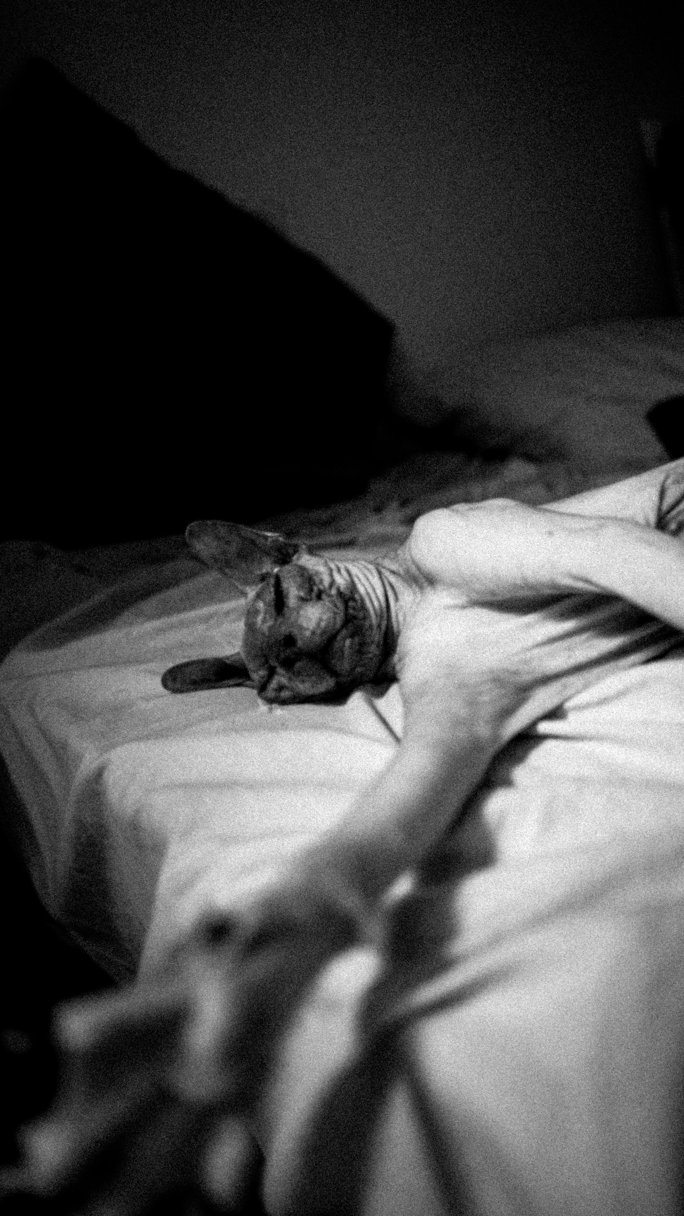 BW mood. MadGoose — Street photographer