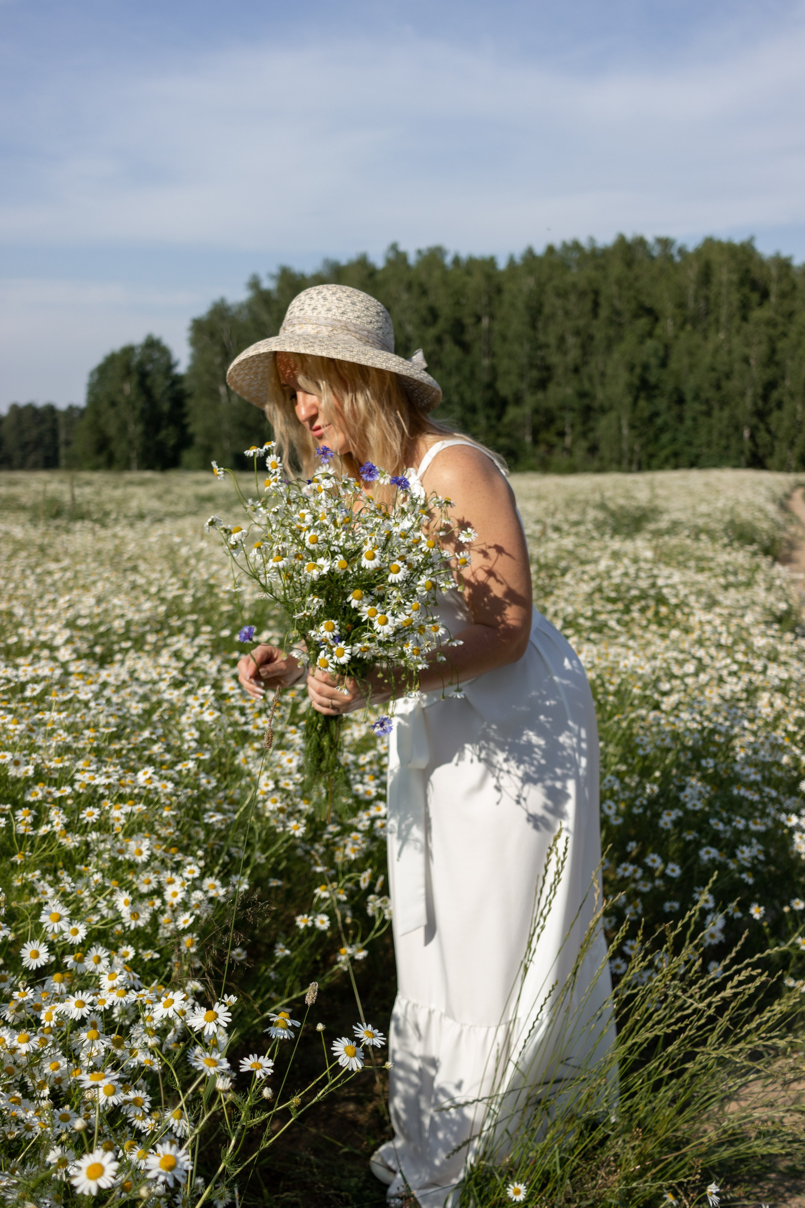 Ромашковое поле. Фотограф в Городце Розова Елена