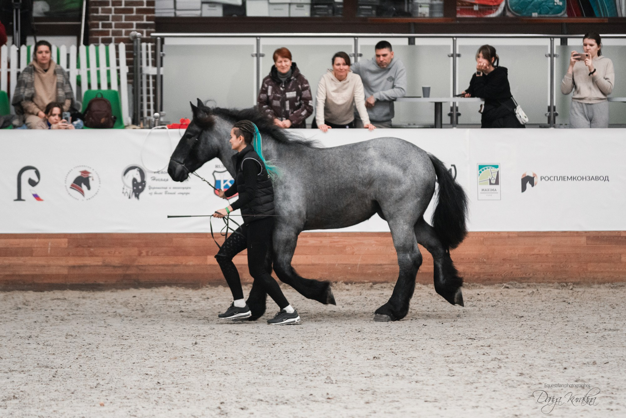 8-я международная выставка Конная Россия. Конный фотограф Куракина Дарья • Фотосессии с лошадьми
