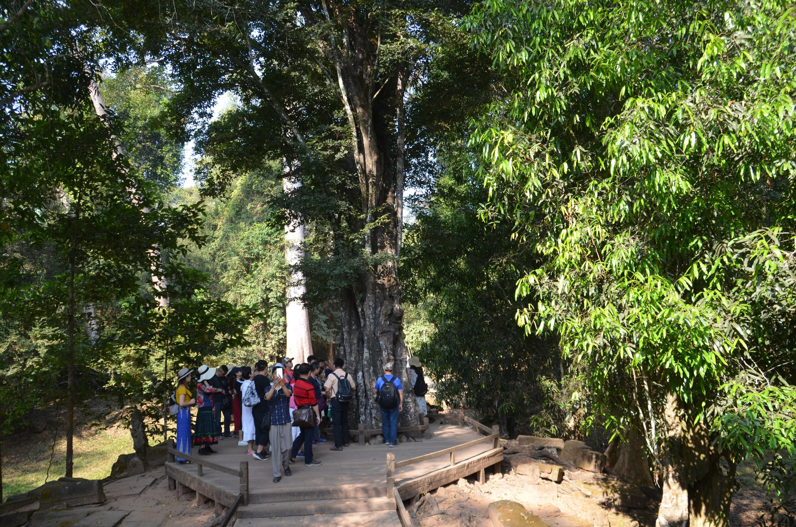 Таиланд |10-25.02.2018. Галерея Фантим